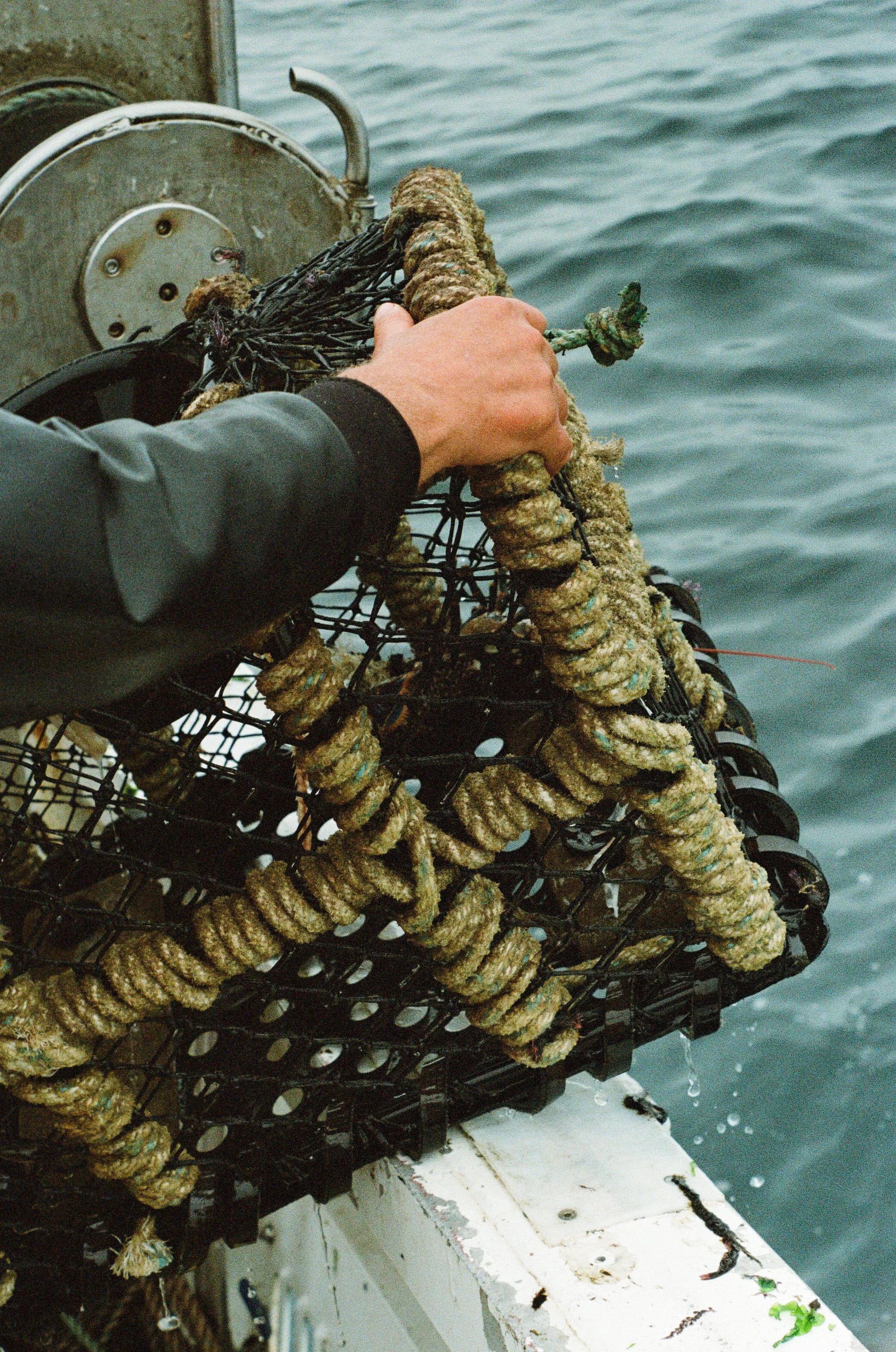 Photographie argentique reportage Bretagne Tourisme par Elodie Villalon