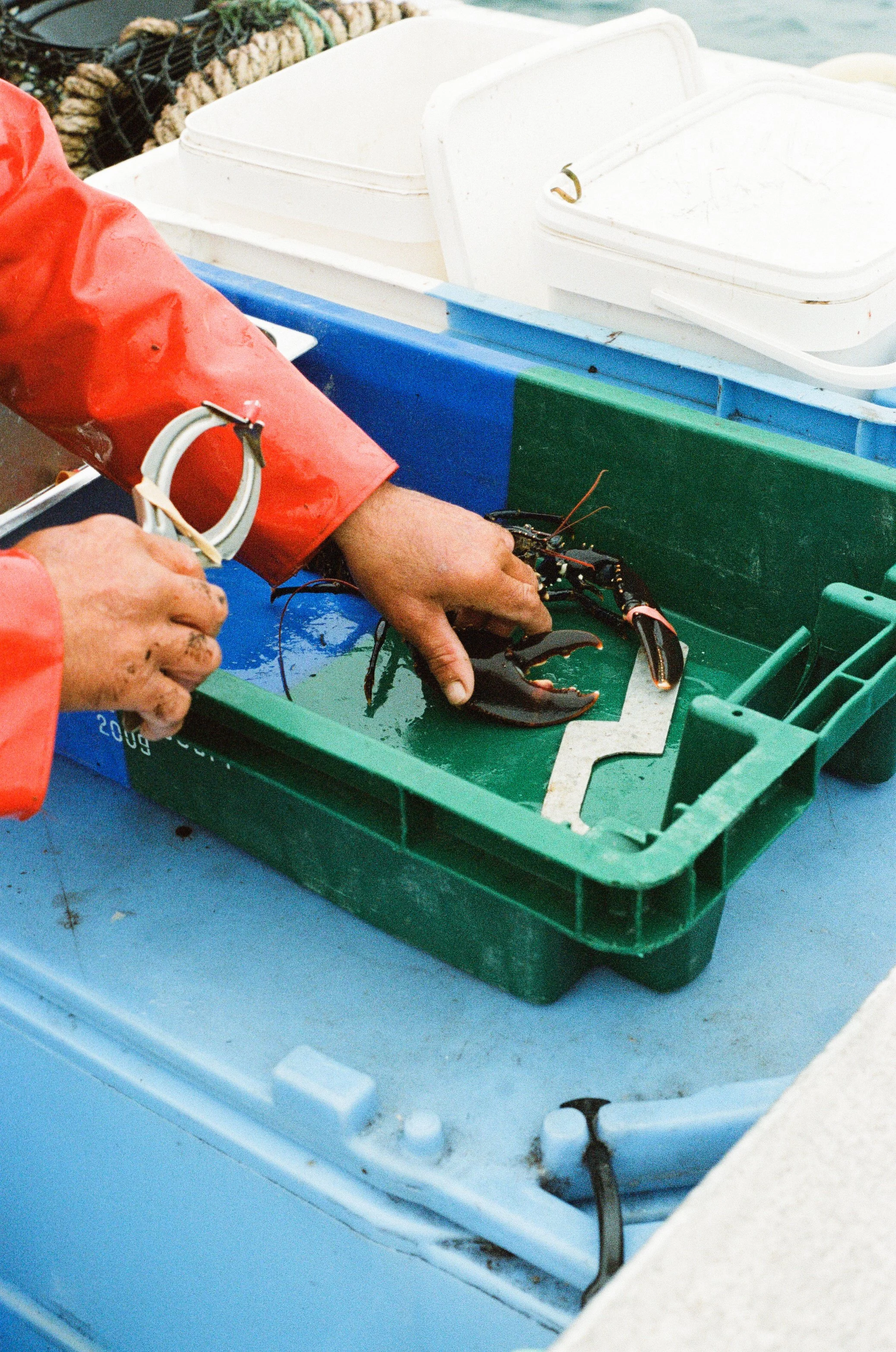 Photographie argentique reportage Guide Papier Bretagne par Elodie Villalon
