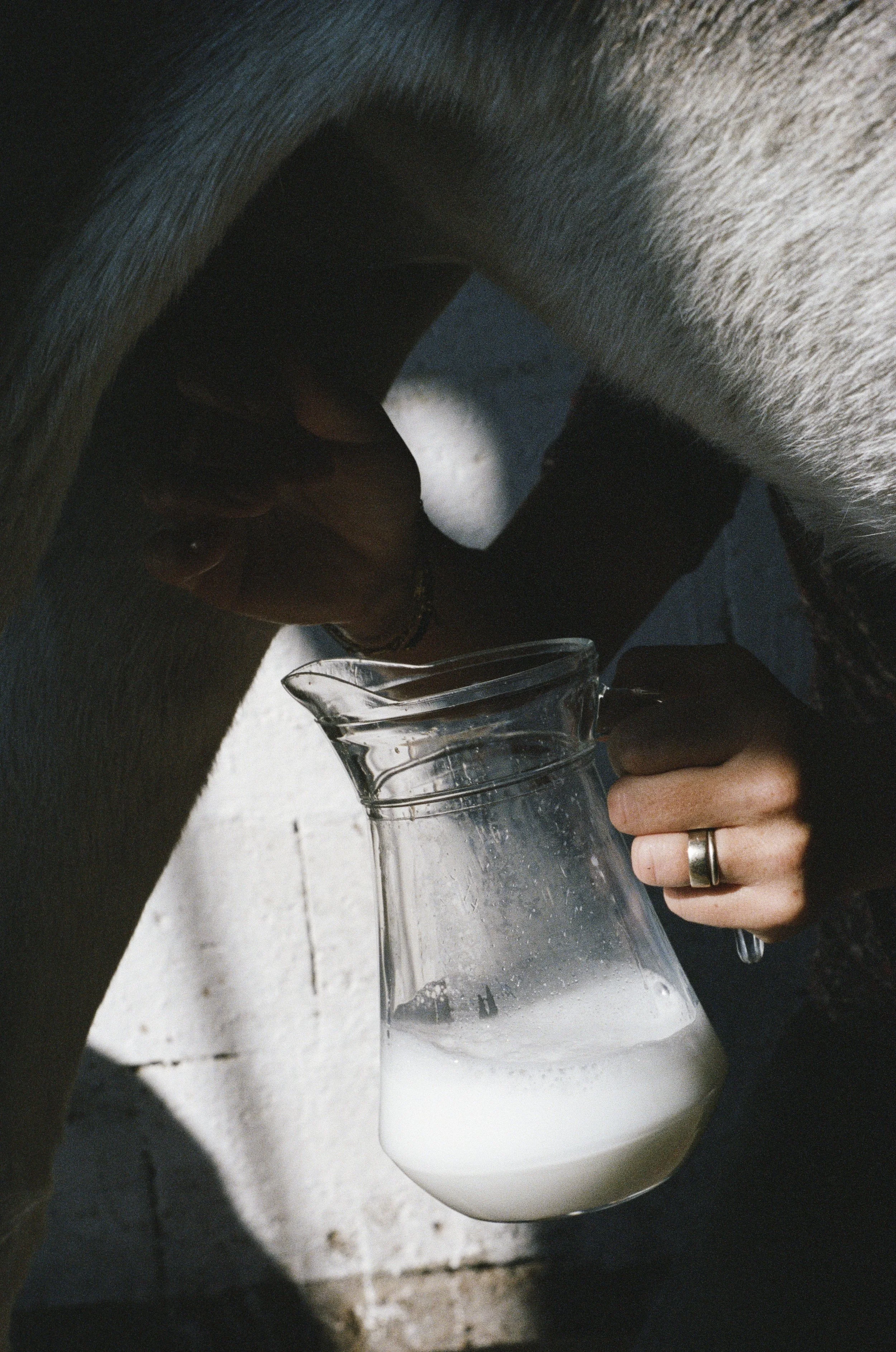 Photographie argentique reportage Azalane par Elodie Villalon pour Regain Magazine