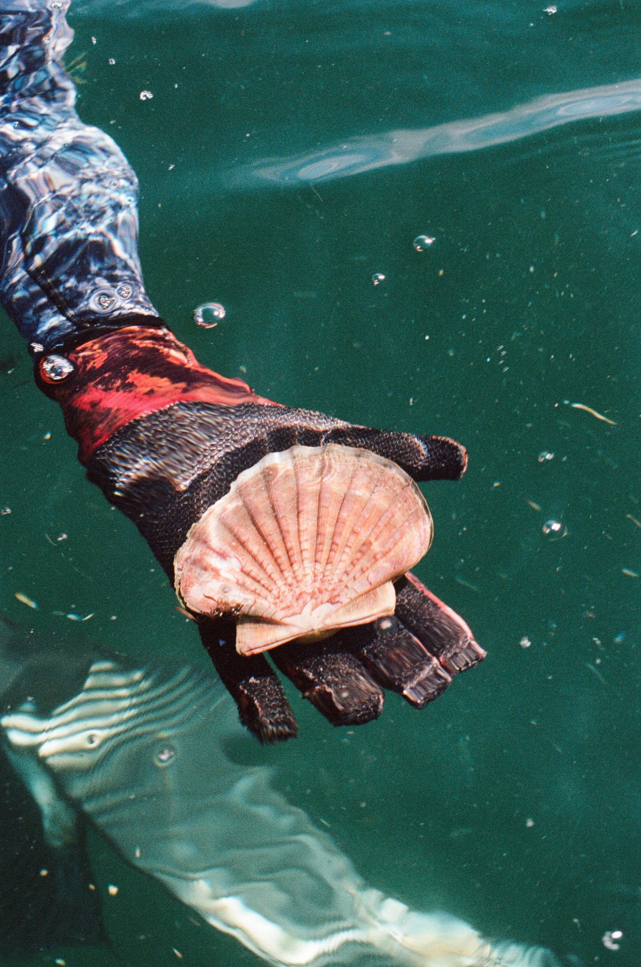 Photographie argentique reportage Guide Papier Bretagne par Elodie Villalon