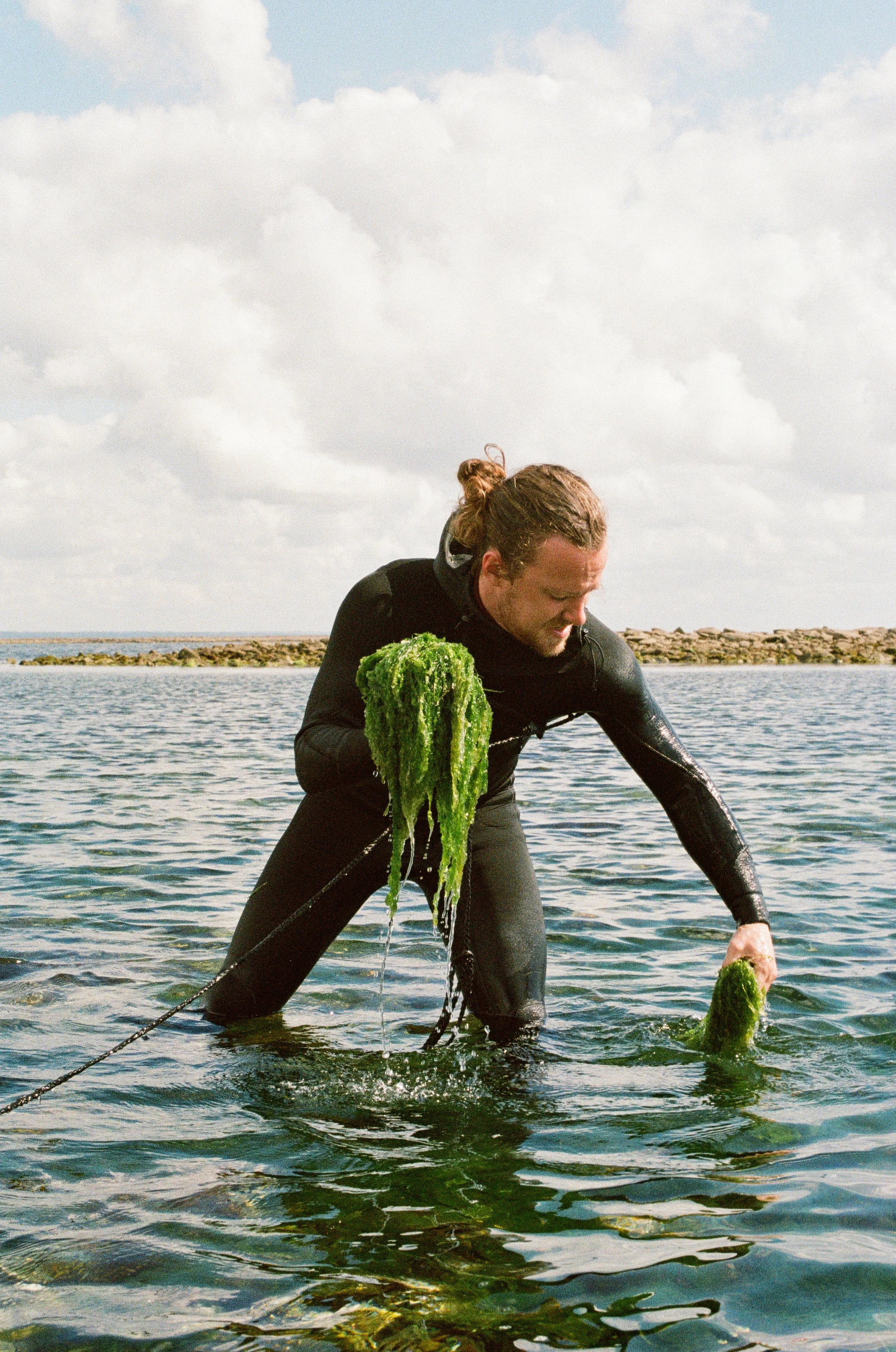 Photographie argentique reportage Guide Papier Bretagne par Elodie Villalon