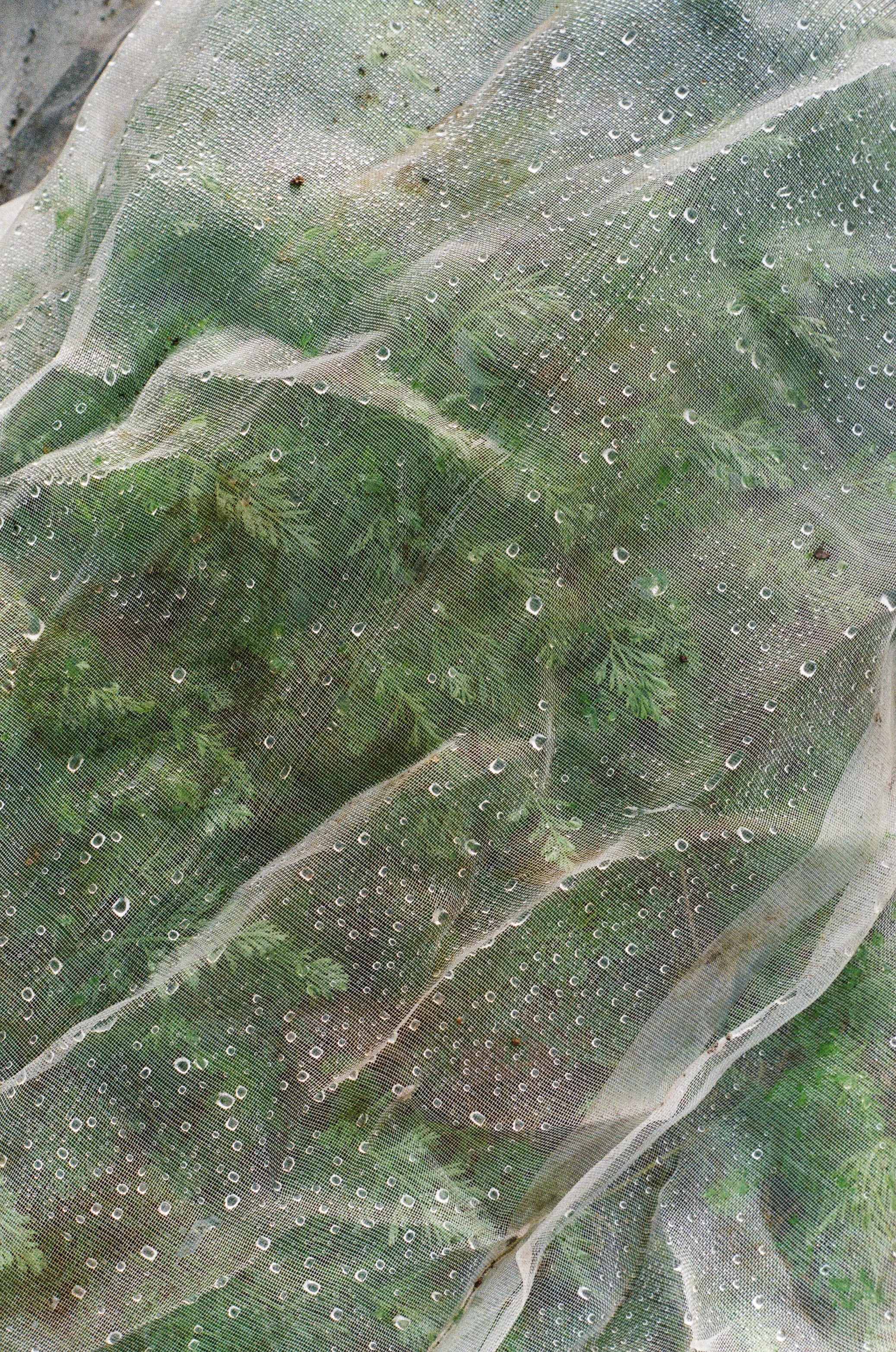 Photographie argentique reportage La ferme des anges Nantes par Elodie Villalon