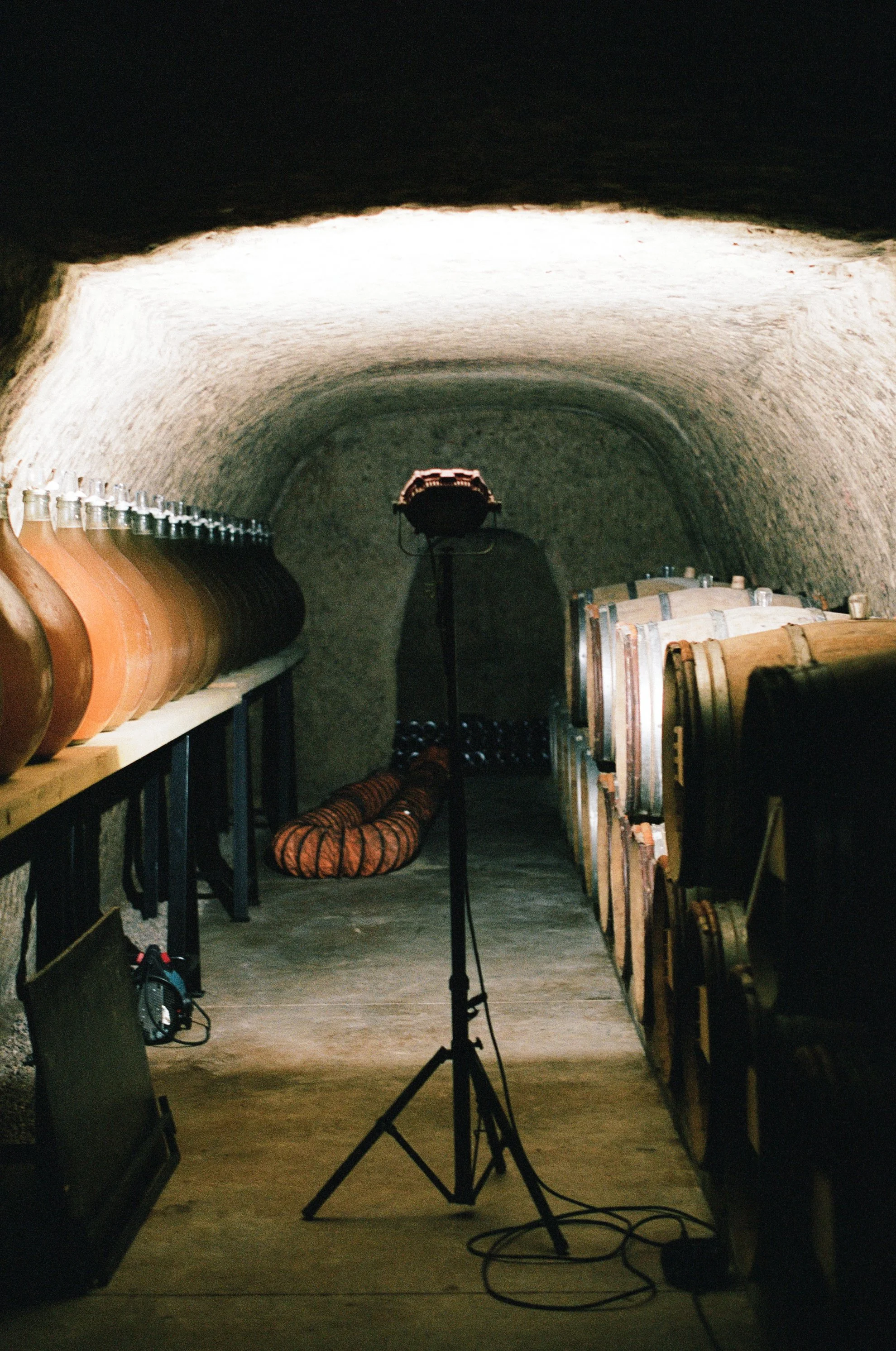 Photographie argentique reportage Champagne Jamet par Elodie Villalon