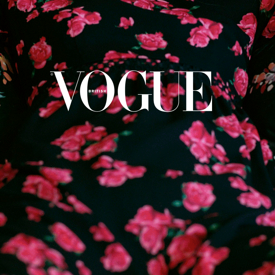 VBV2.gif