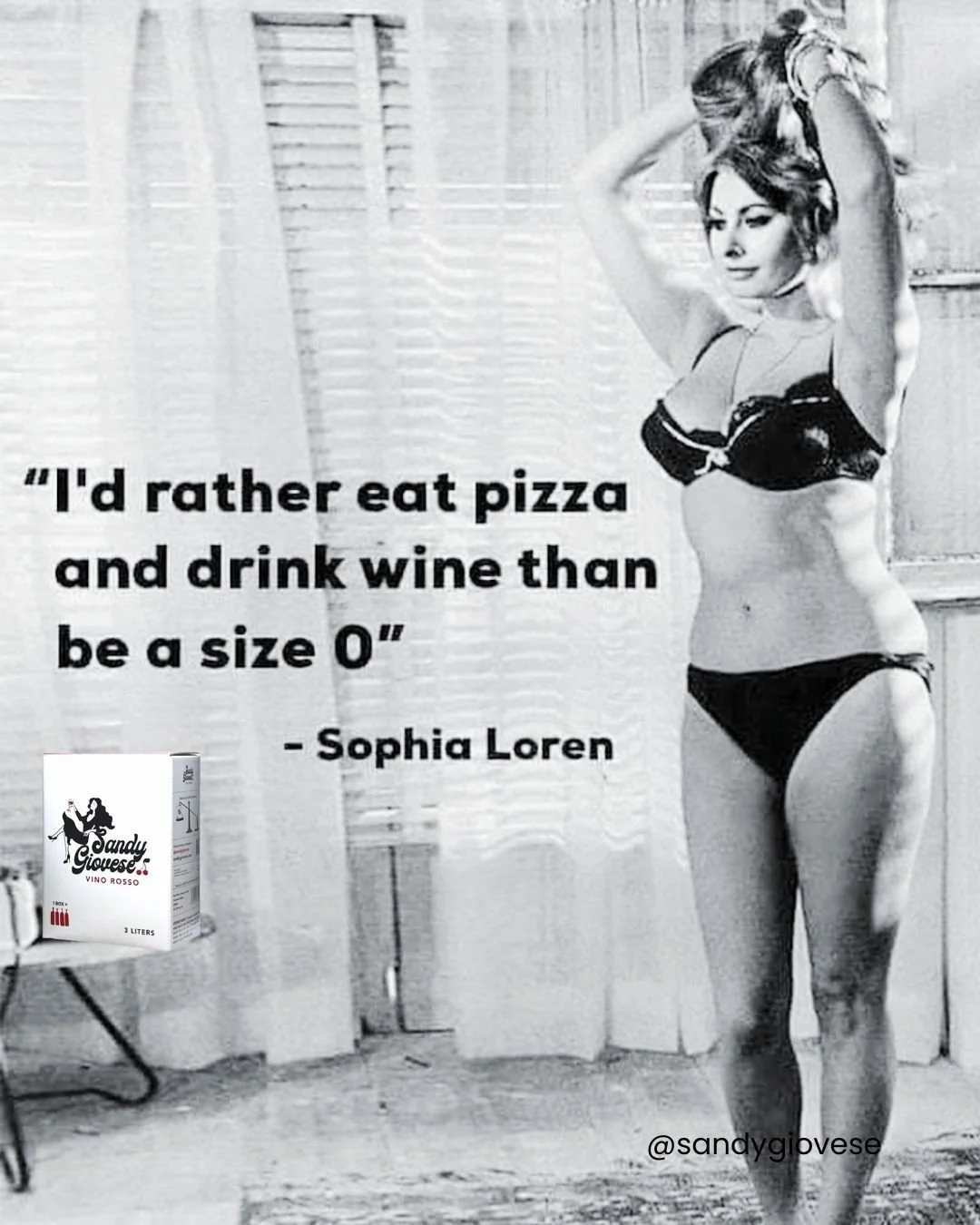 Sophia said it best. We'll drink to that! 🍷

#legends #whitewine #redwine #rosewine #beverages #italianwine #boxedwine #boxwine #sustainability #ecofriendly #valuewine #savetheplanet #ecoconscious #organicwine #italian #vino #winelife #instawine #wi