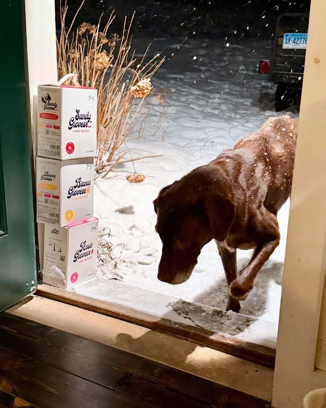 Old dogs love new tricks. If you wrote off boxed wine years ago, it's time for a second look! Giovese Family Wines are 100% organically farmed, estate-grown Italian wines delivering serious quality in a format that's actually smarter -- stays fresh f