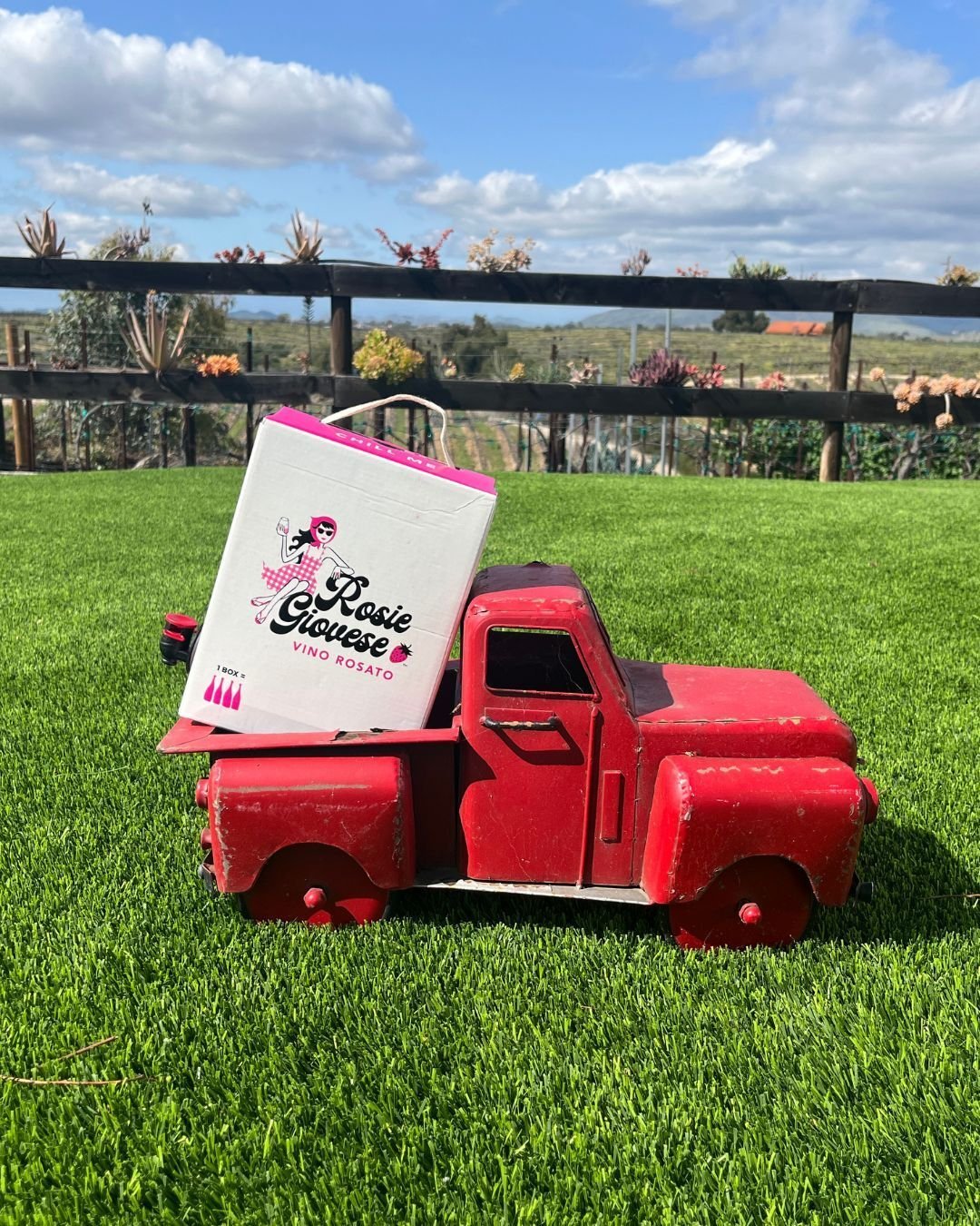 Beep beep! Rosie en route. 🍓🛻

Whether you're drinking wine on a city rooftop or country porch, Bianca, Rosie, and Sandy can be delivered to your door!

Get The Sister Set (all 3 wines) so you have the right flavor to suit the right mood at any tim