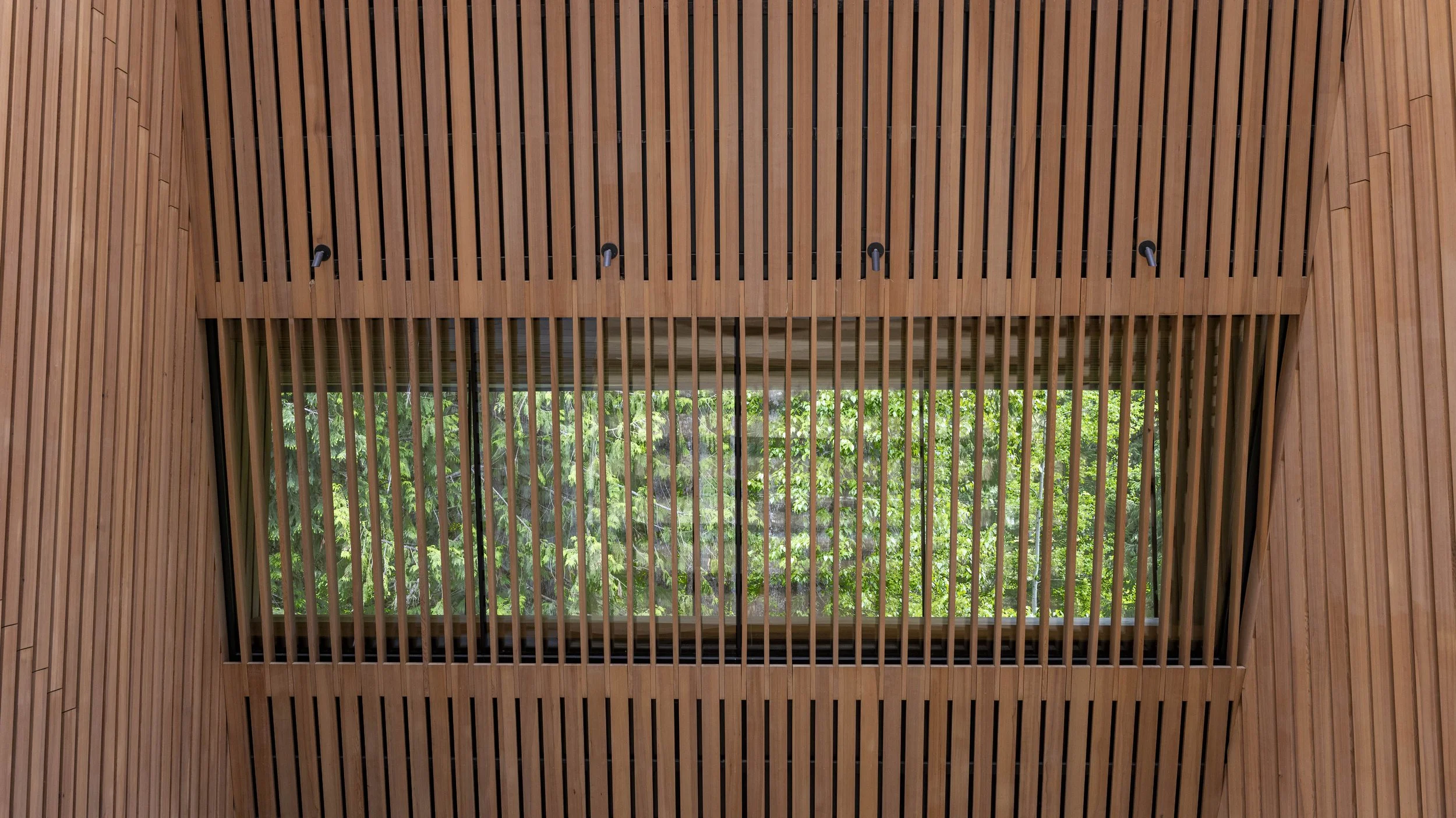 Art1web3.jpg