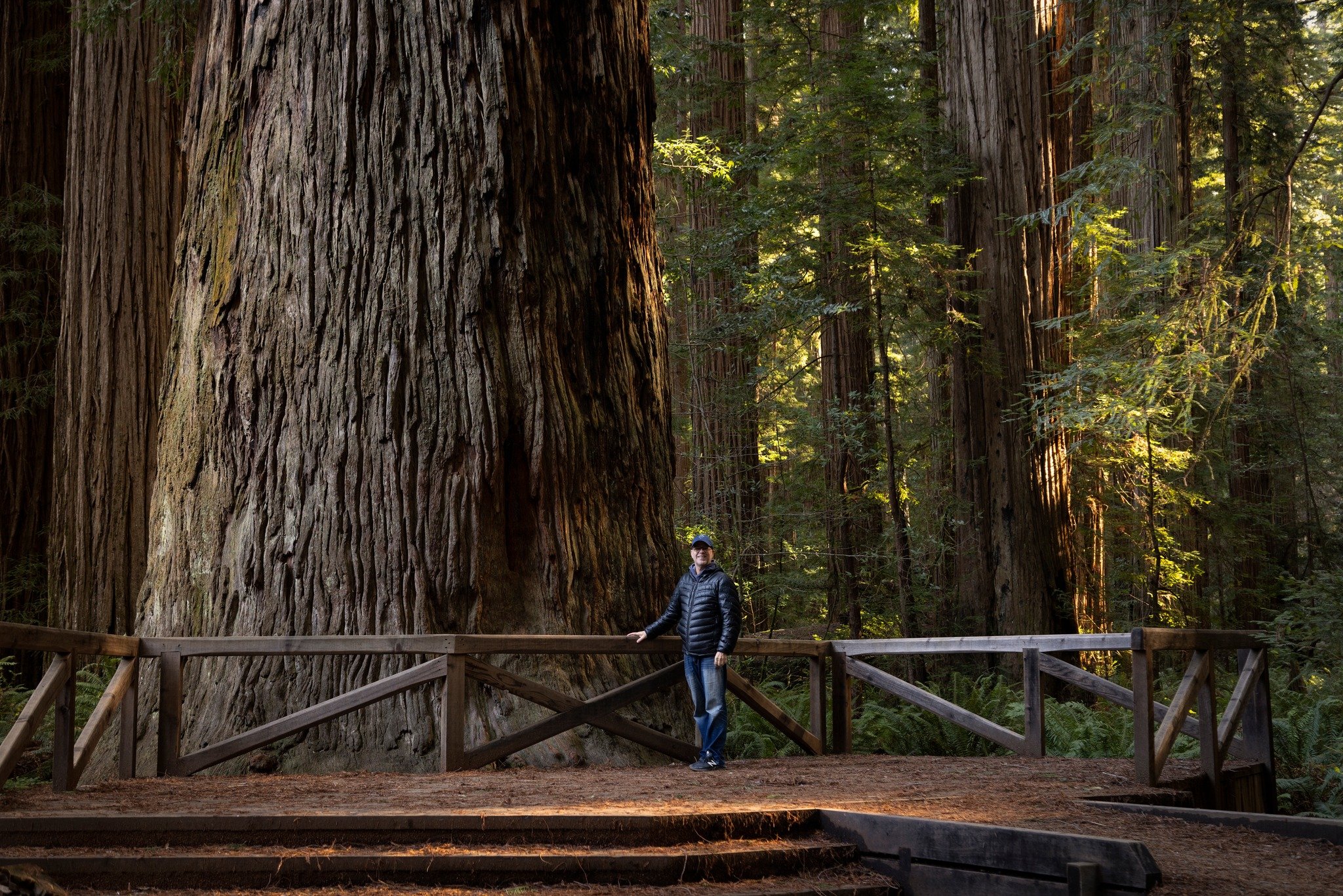 Recently I was able to make a quick visit to Jeremiah State Park, to witness some of the largest trees in the world. Its hard to capture their size in an image, so I jumped into the shot to give it some perspective. #fredmeyerphoto #redwoods #parks #