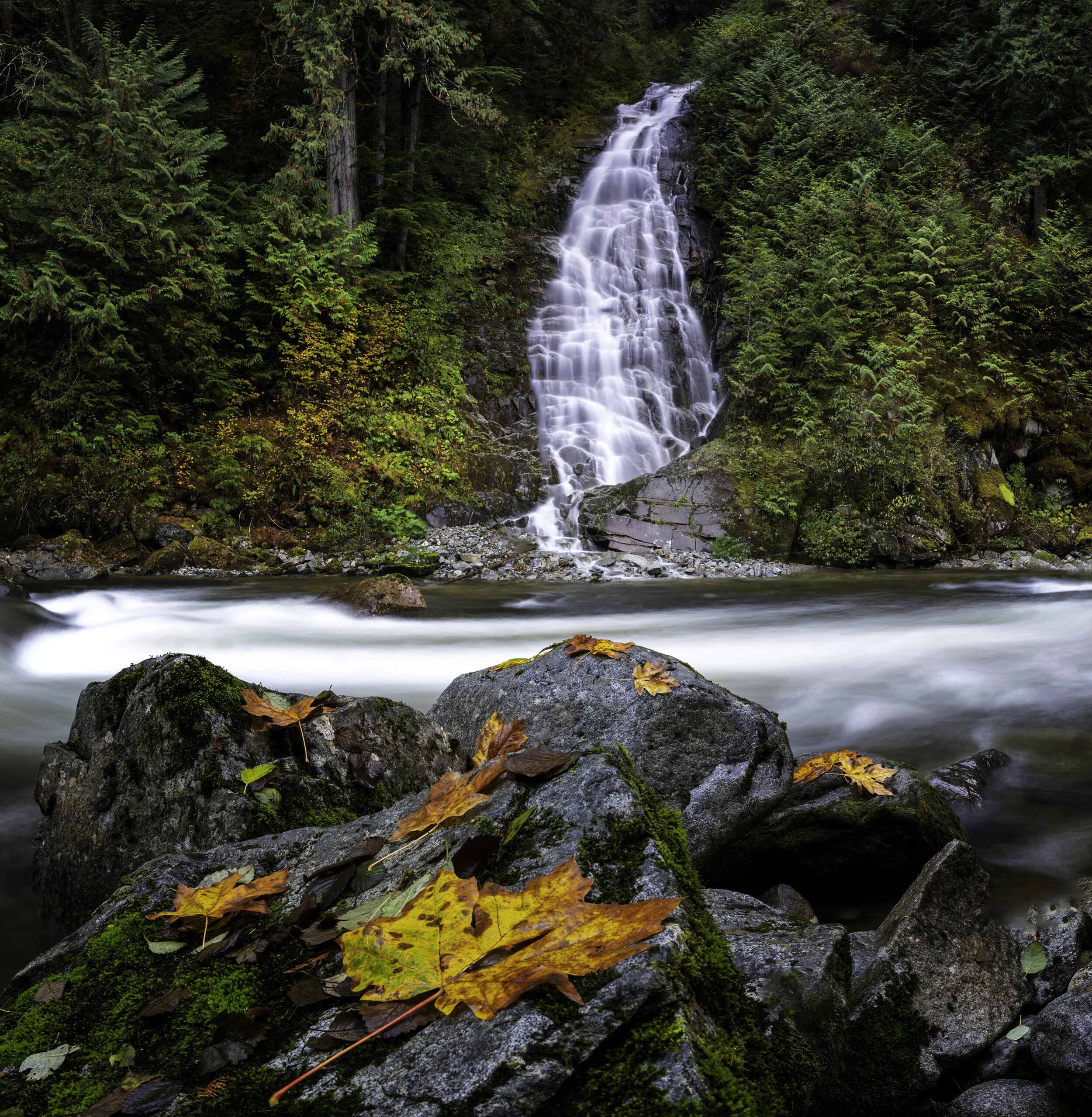 Skagit Fall.jpg