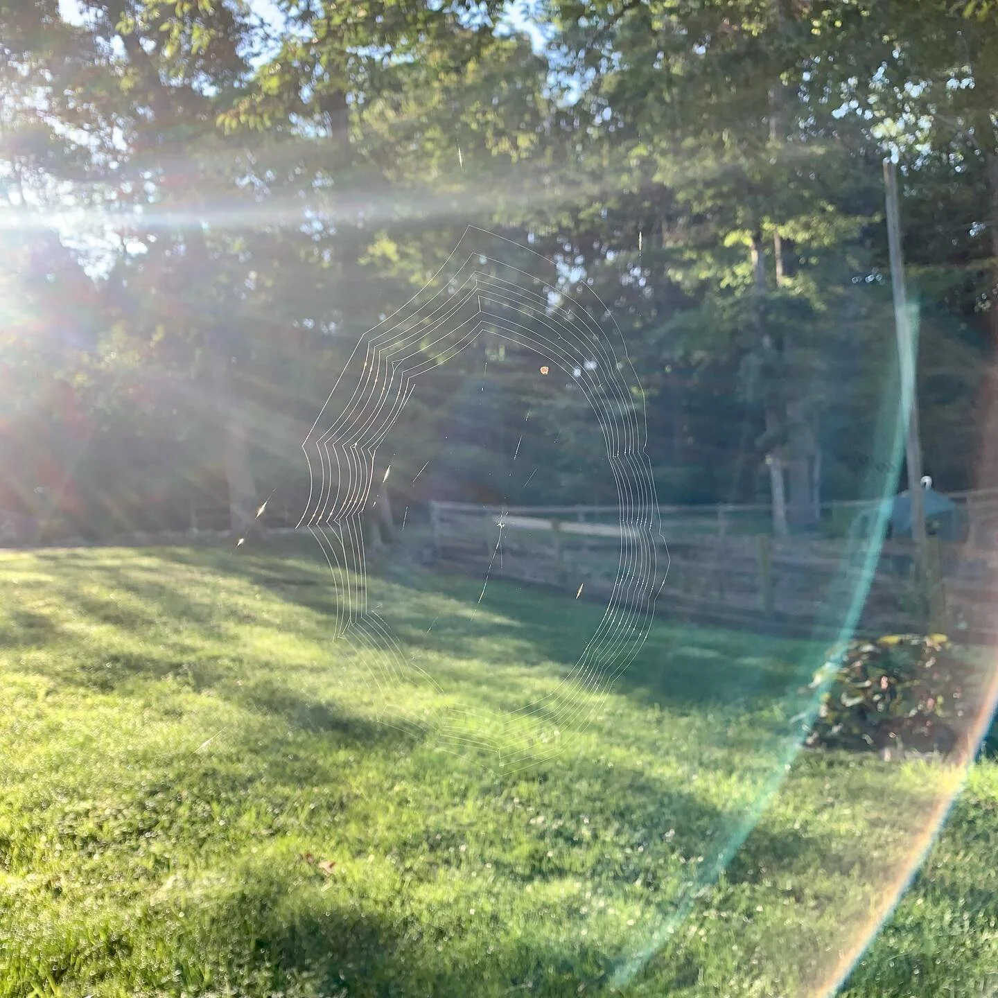 I chose to watch this spider spin his web this morning in silence. Time well spent? YES!  If you choose NOT to take time in appreciation of small things, you&rsquo;re probably also missing the big ones.  What small things are you doing for your team 