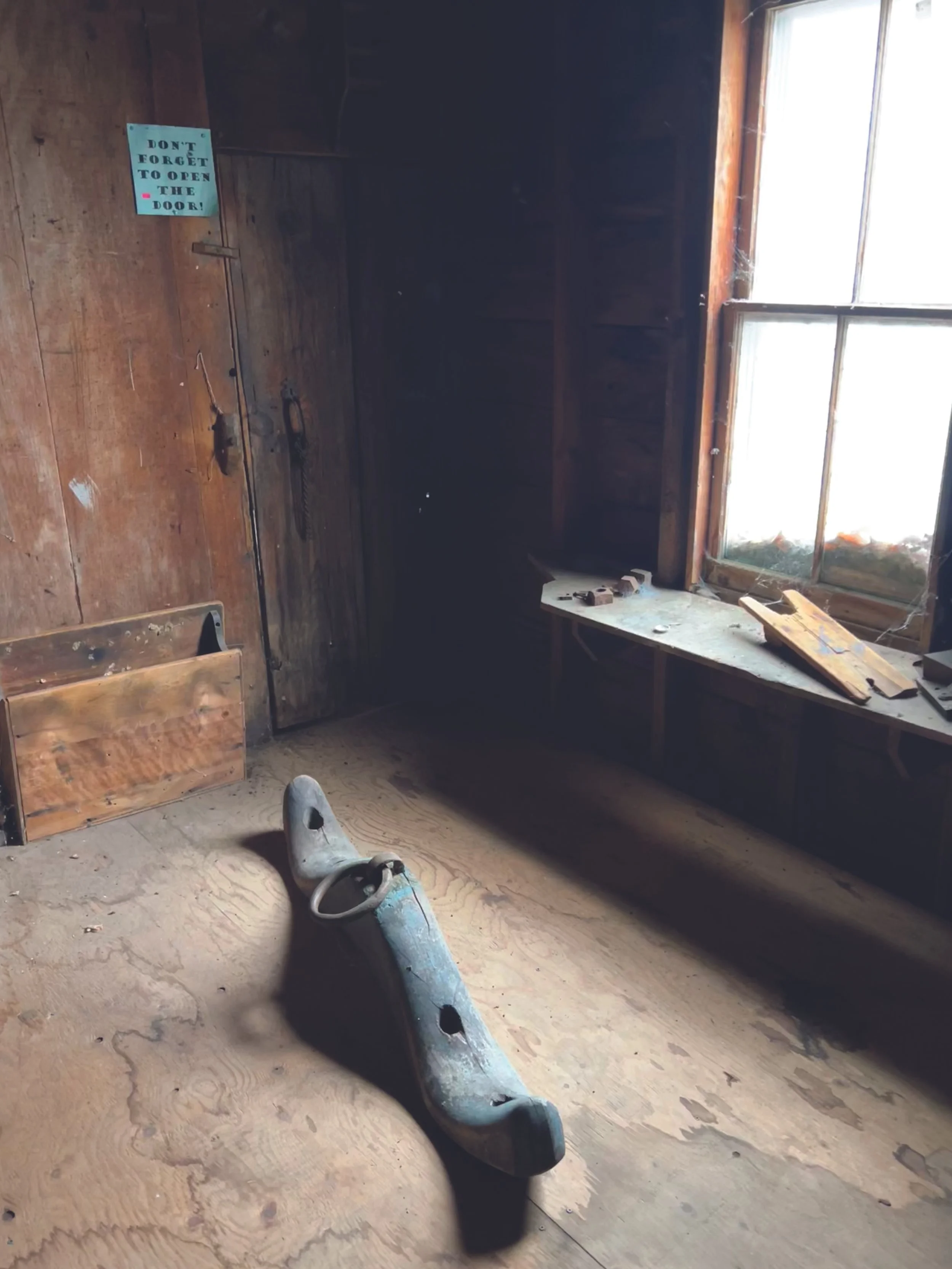 IMG_7693-yoke-©️ Elisabet Juan.jpg