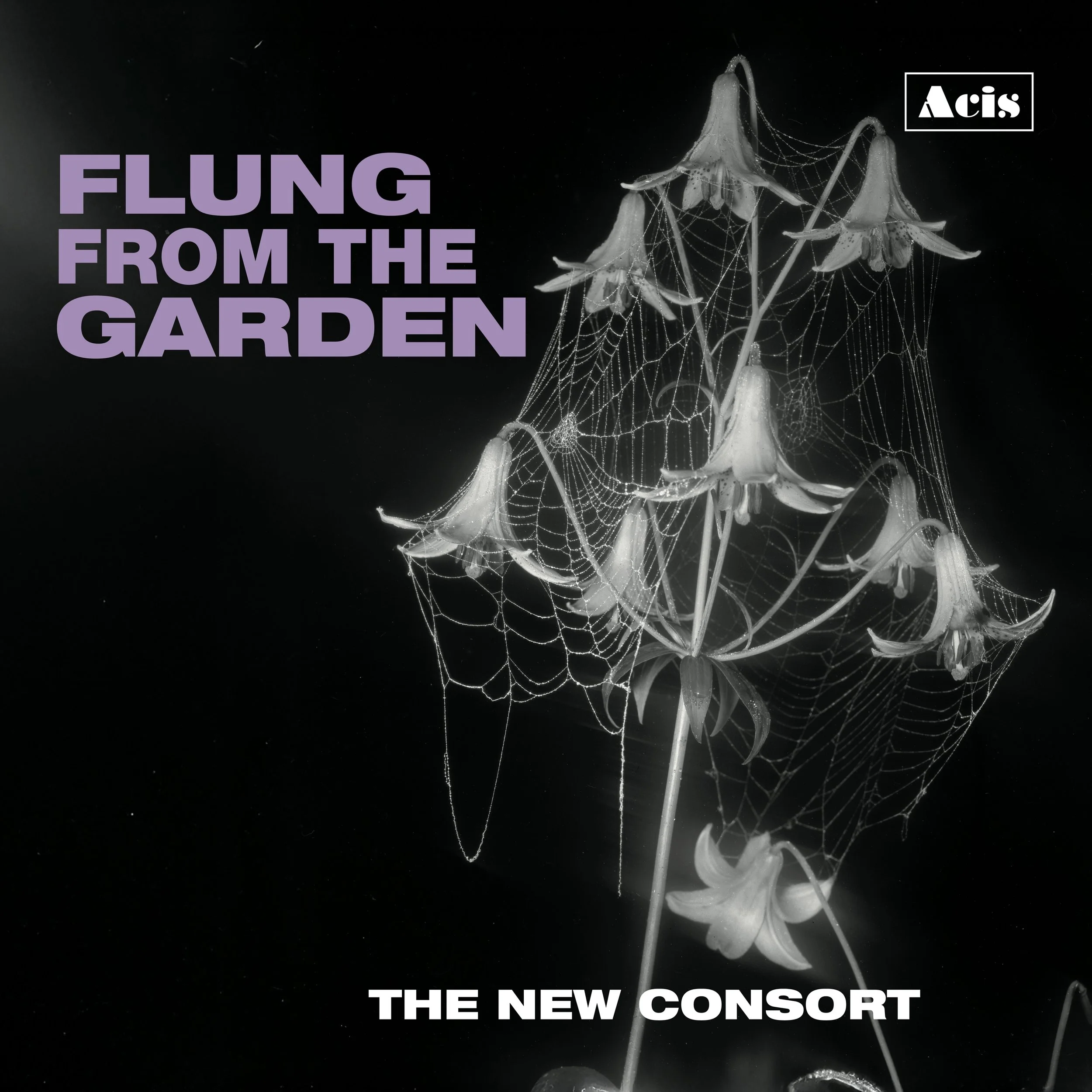 Acis_New-Consort_Flung-from-the-Garden_3000-300.jpg