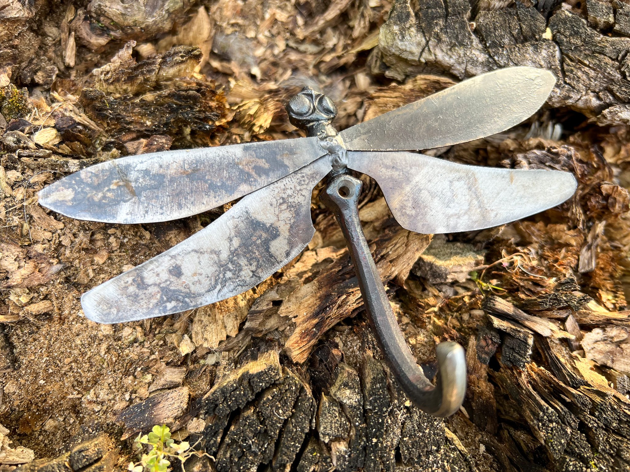 Dragonfly hook