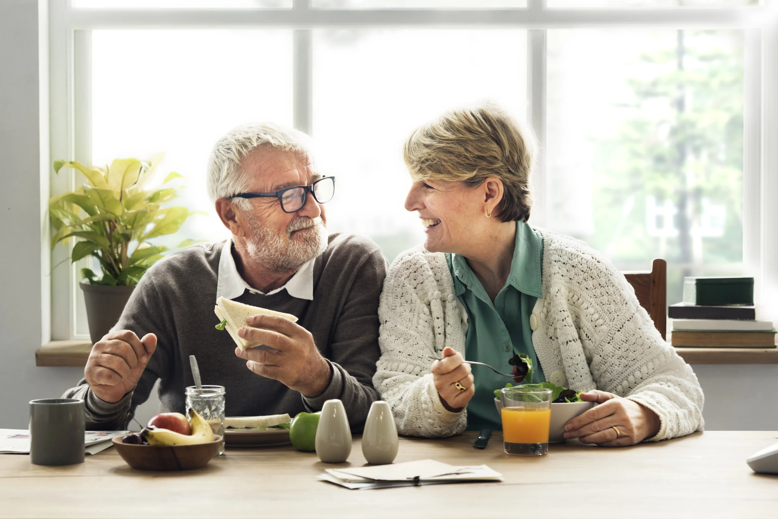 The Homes — Titicut Estates Taunton's Newest 55+ Neighborhood