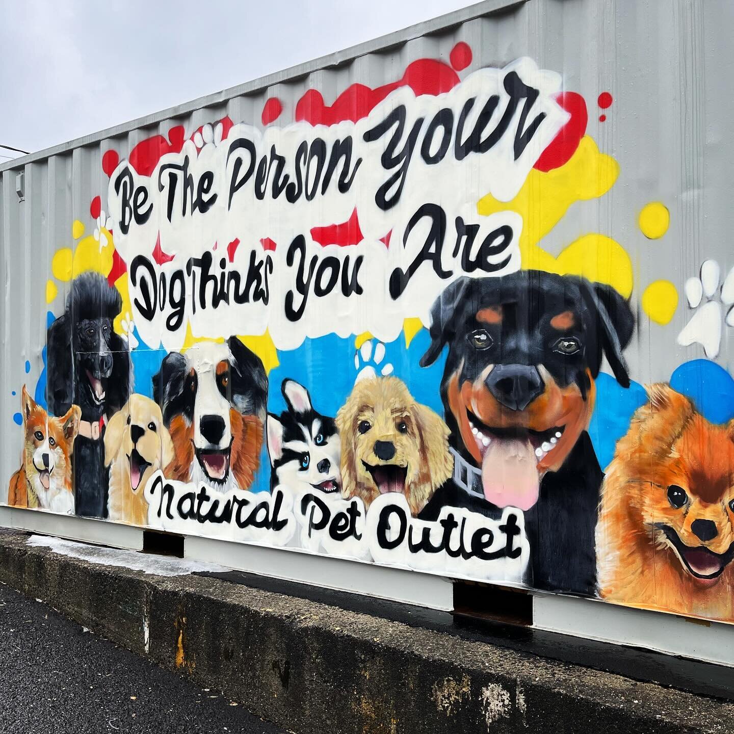 🌟 Love this quote!

&ldquo;Be the person your dog thinks you are&rdquo;

Thanks @jpaizstudios for this great mural at @naturalpetoutlet 🐶 🐾 next to @uncommonlydriven fitness studio!

#art #mural #muralist #artist #streetart #fairfieldct #fairfield