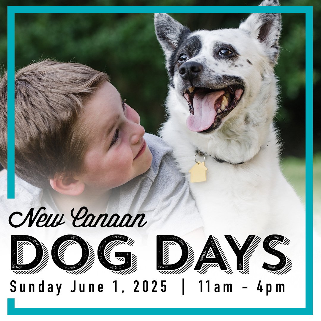 New Canaan Dog Days