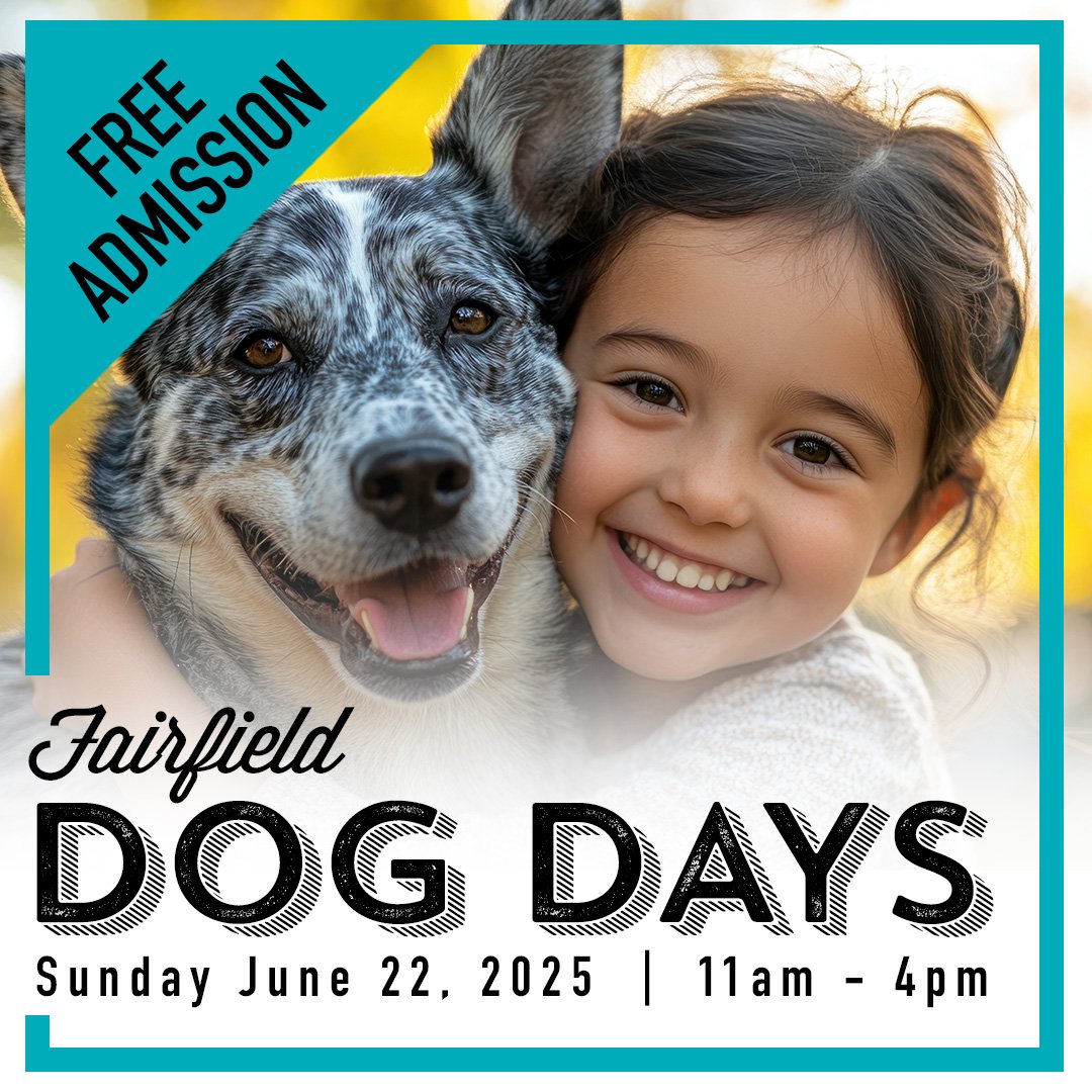 Fairfield Dog Days