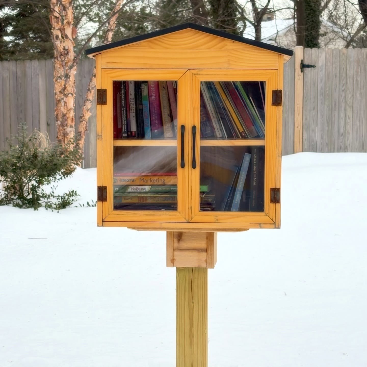What a privilege to have these beautiful little free libraries around town for everyone to enjoy. They are hidden gems where anyone can take and contribute books to. 

As part of Martin Luther King jr. Day of Service, our family replenished one of th