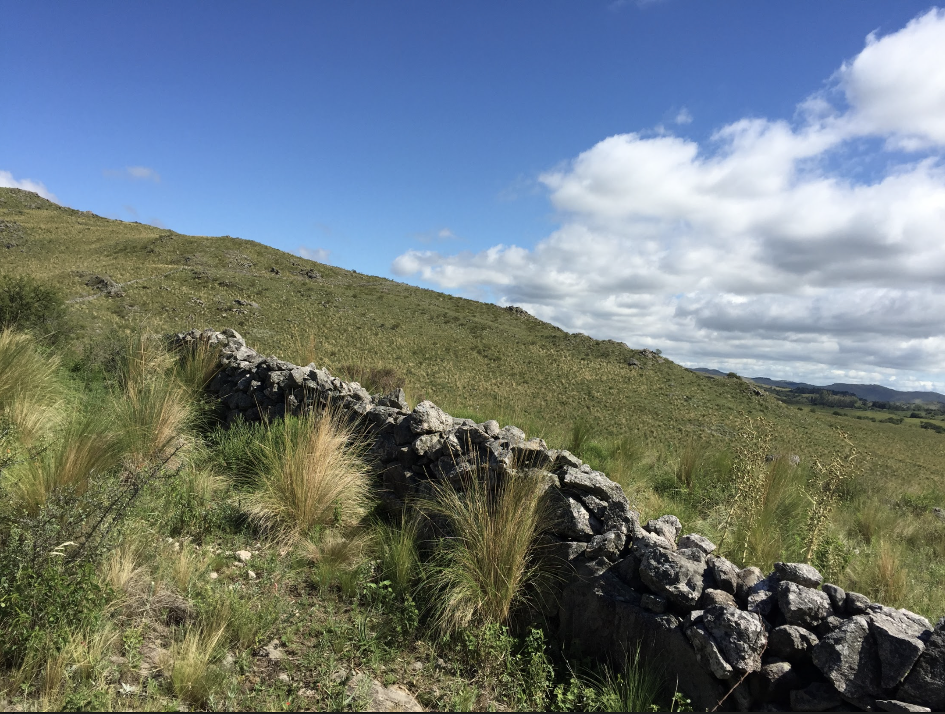 Screen Shot 2020-12-03 at 9.15.35 PM.png