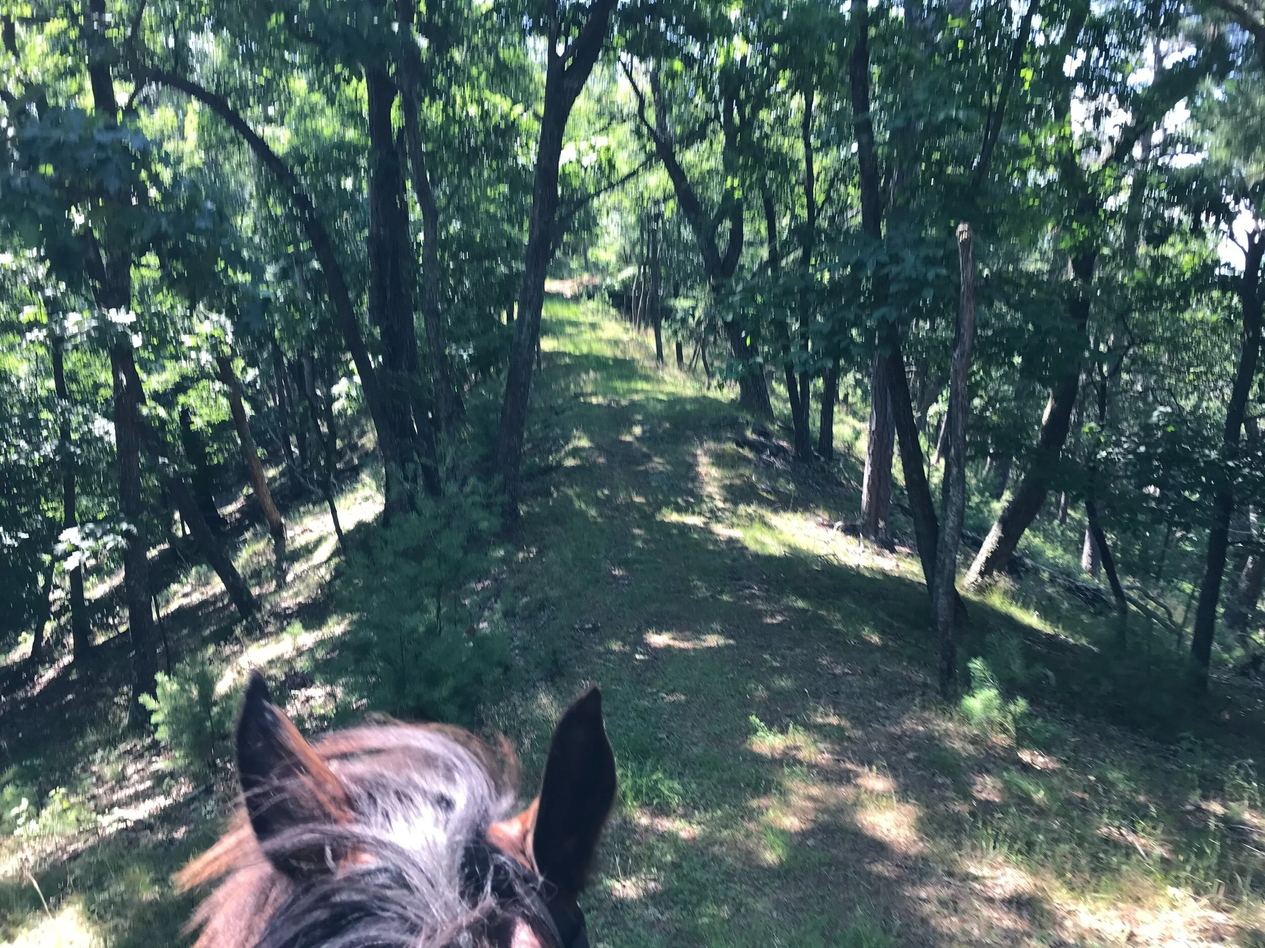 Lost River, Day 2:  Slope-Side Shit Show