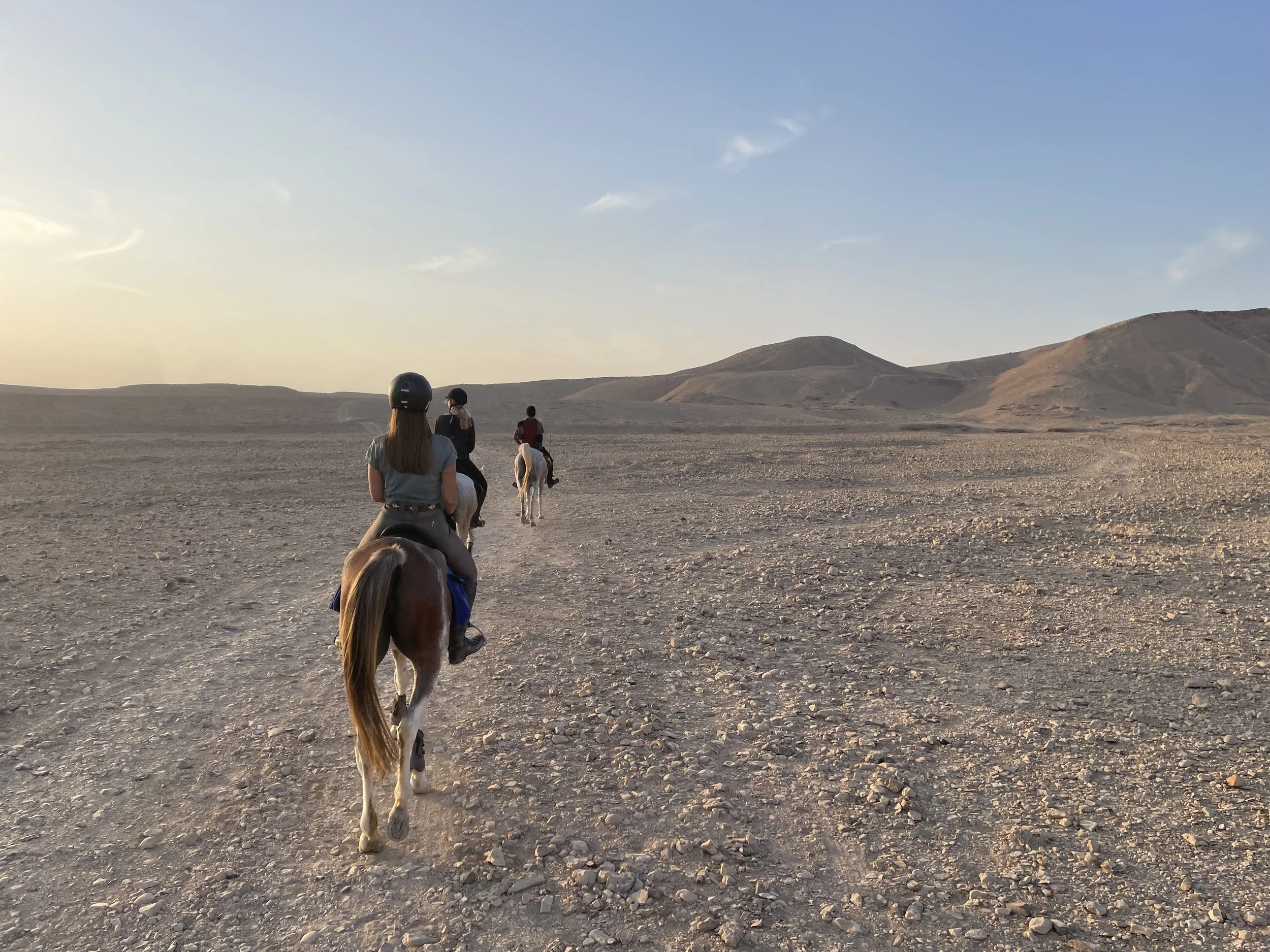 EGYPT RIDE – AWED, AMAZED, CHARMED 