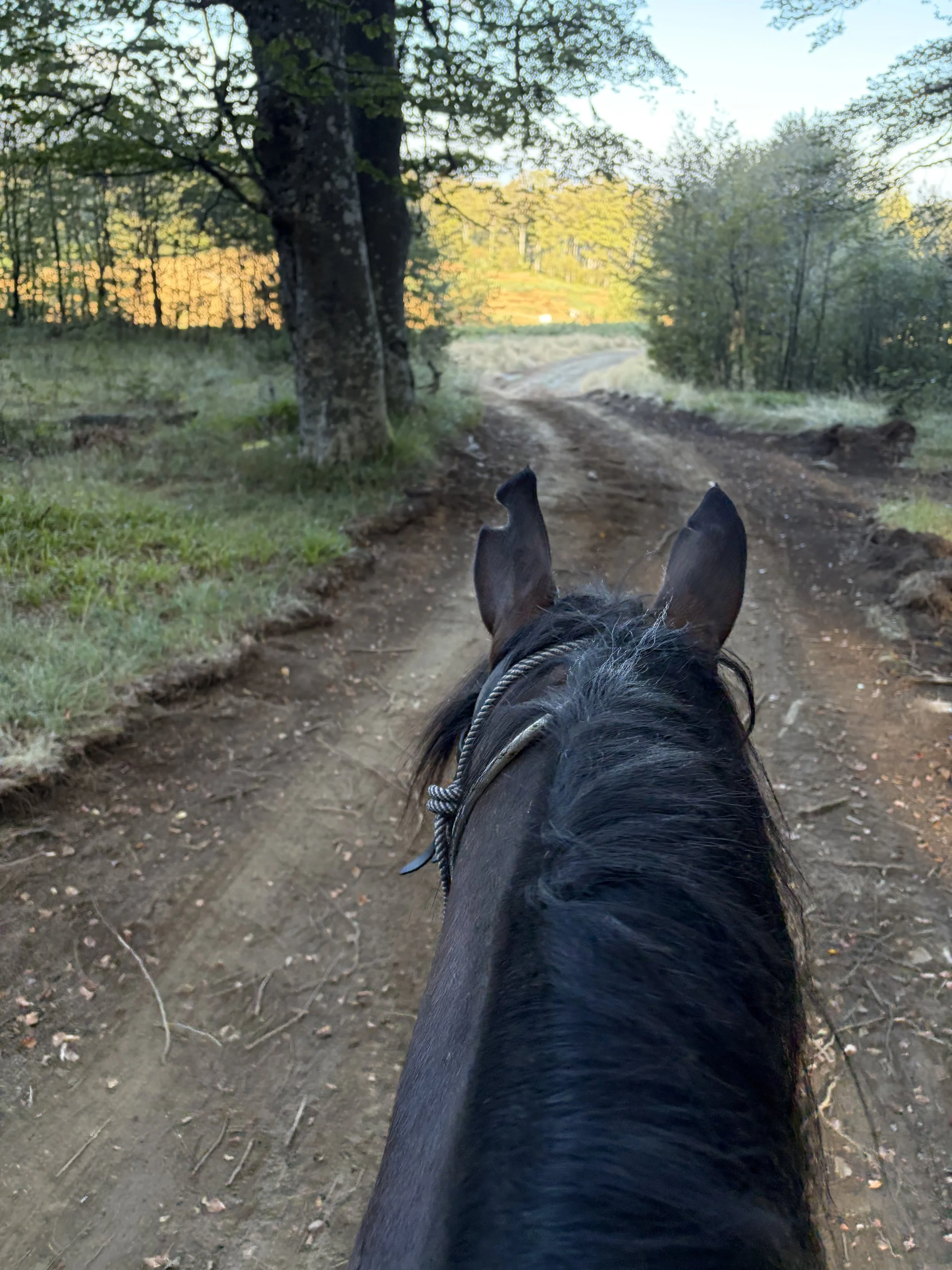 BULGARIA RIDE  – COMING DOWN OFF THE MOUNTAIN