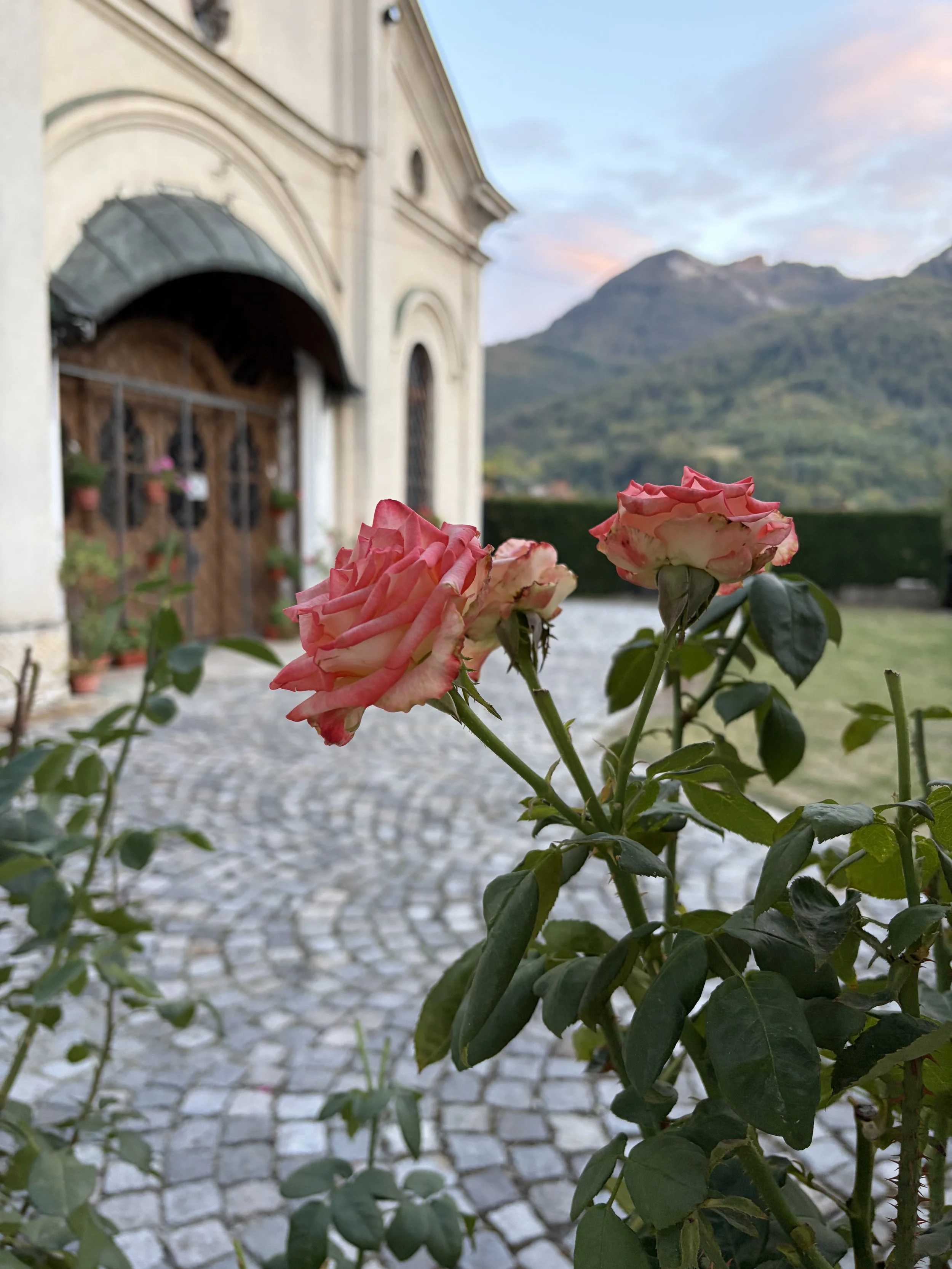BULGARIA RIDE  – BULGARIAN BITS