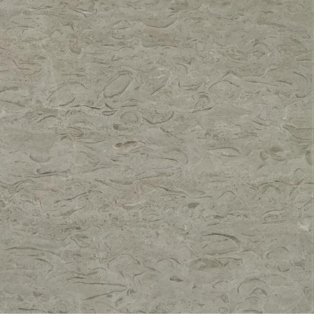 白海棠（产地：云南）.png
