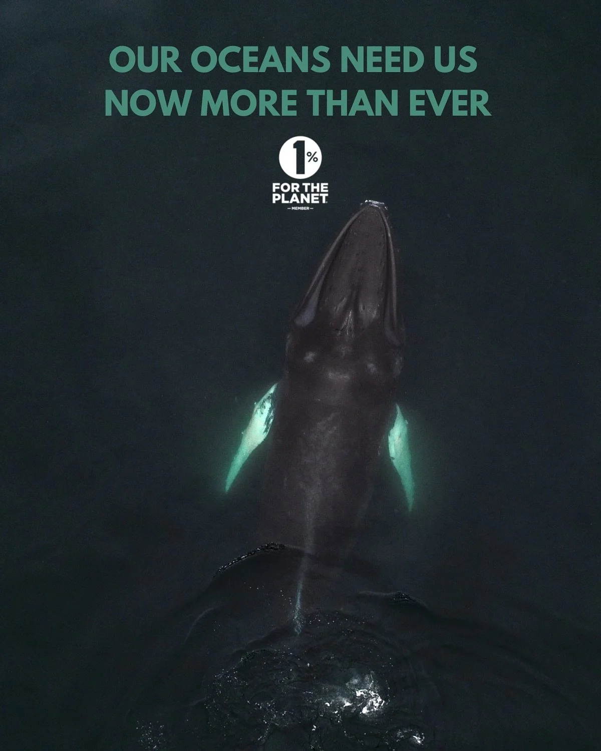 We are proud members of 1% For The Planet @1percentftp, and our oceans need our help more than ever these days.

&ldquo;Kawama&rdquo; comes from the Spanish word for &ldquo;loggerhead sea turtle,&rdquo; or &ldquo;caguama,&rdquo; and the sea turtle is