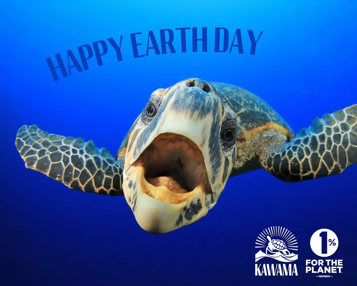 Happy Earth Day! Today and every day!💚🌎