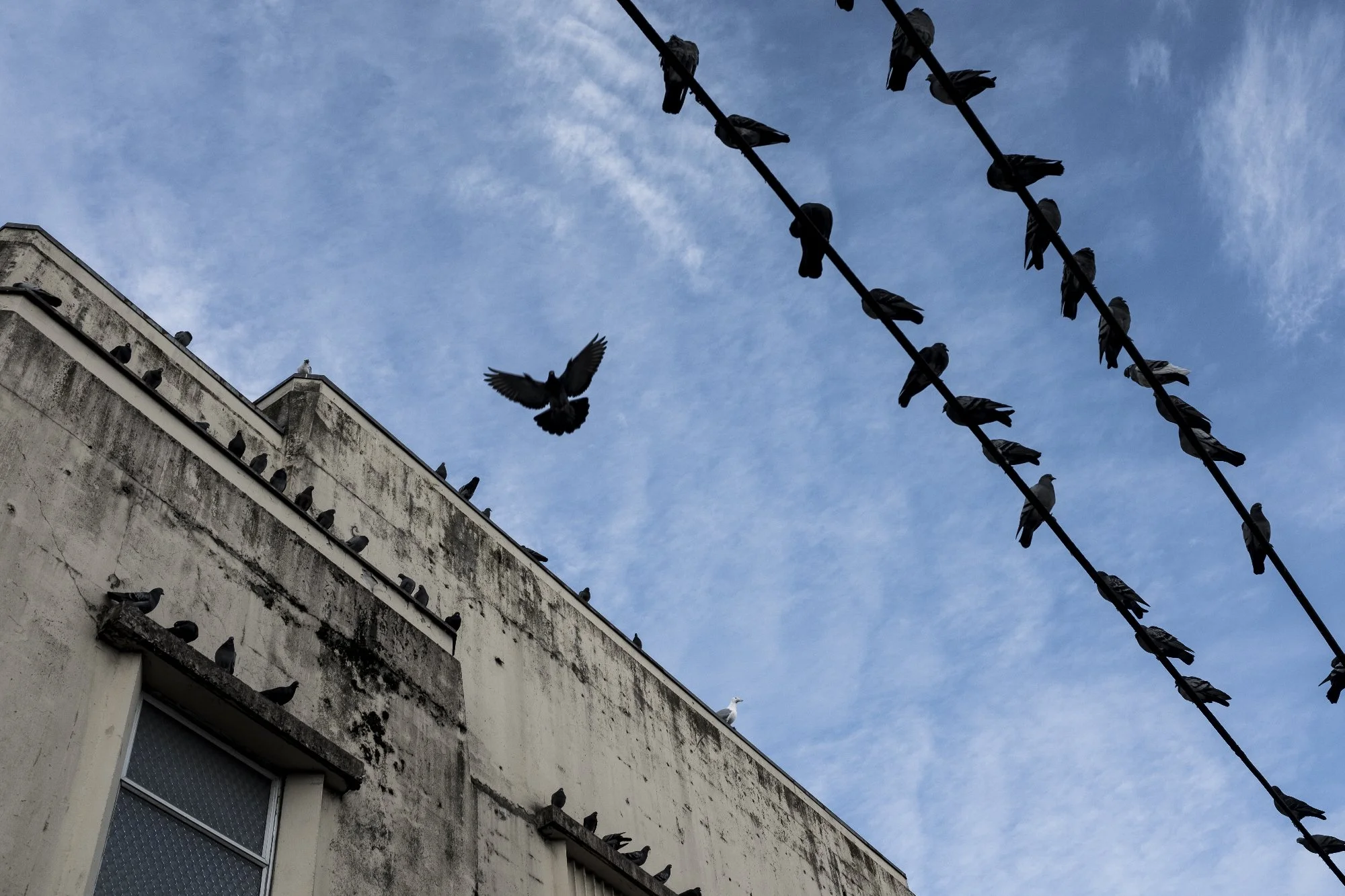 Reflections from a decade on the frontlines of Healing 