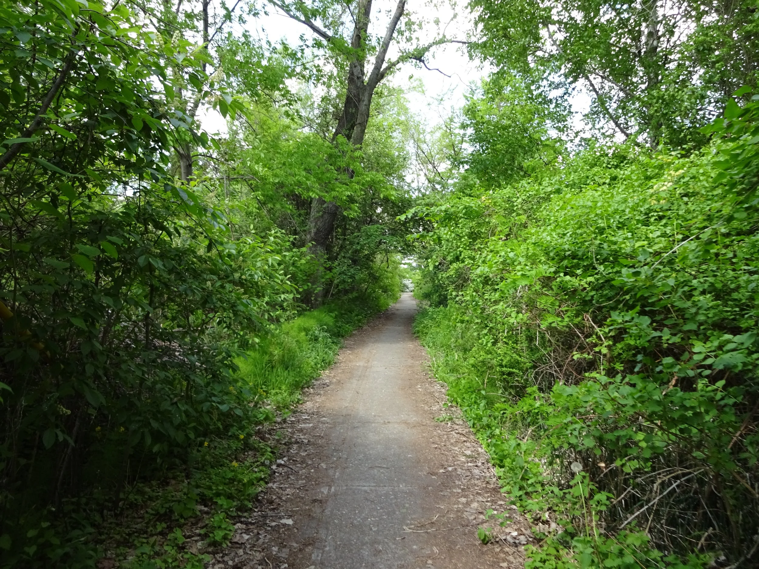 The Deepening (Ongoing Counselling)