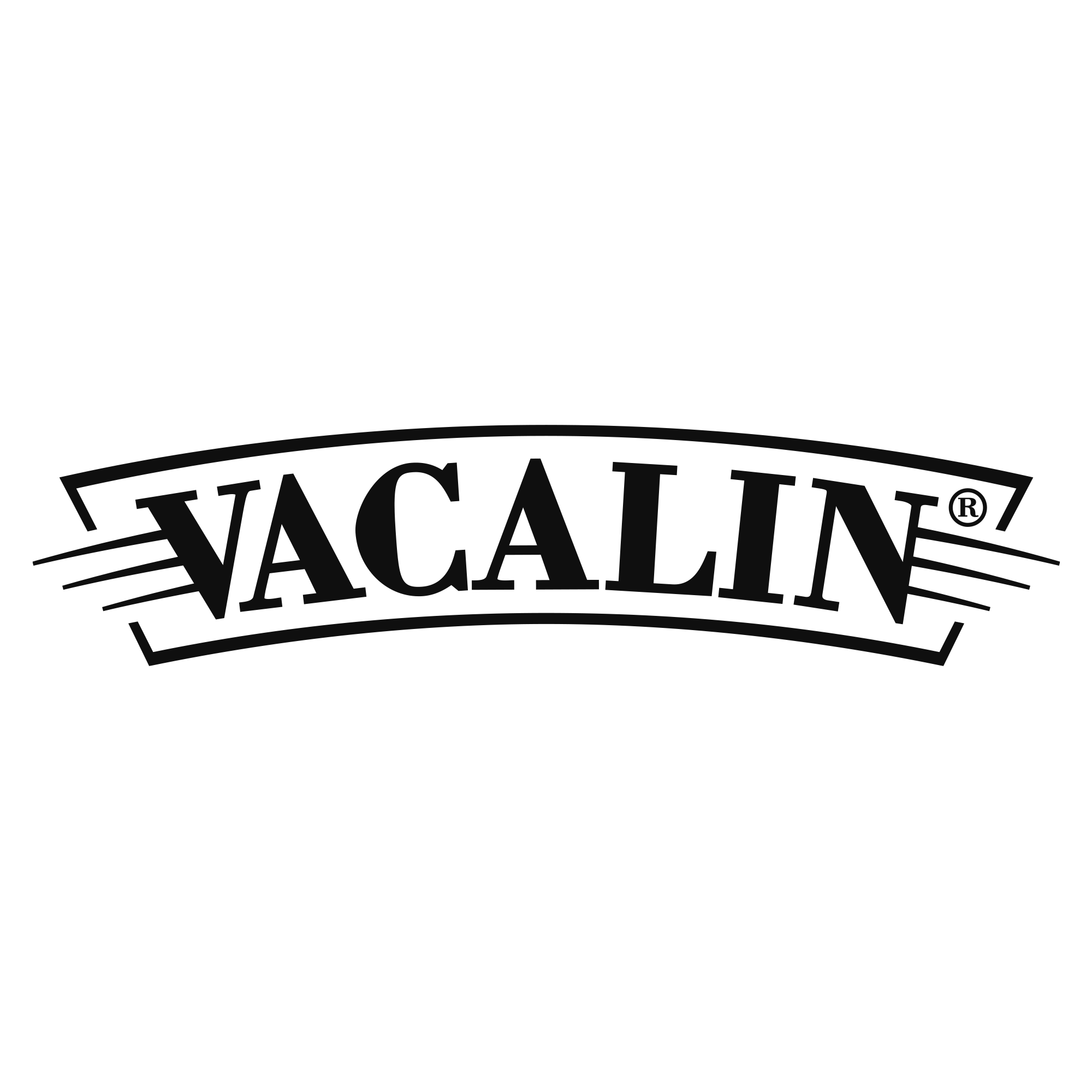 Logo-Vacalin.png