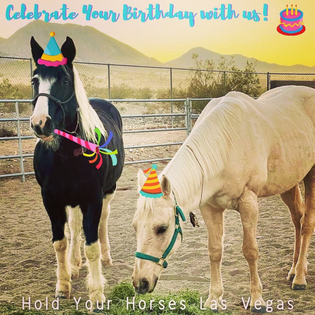 Hold Your Horses is now offering parties for birthdays and other special occasions!🐴🎉 Message us today for a quote to celebrate your special day with horses at our beautiful facility!🐴🌄✨
