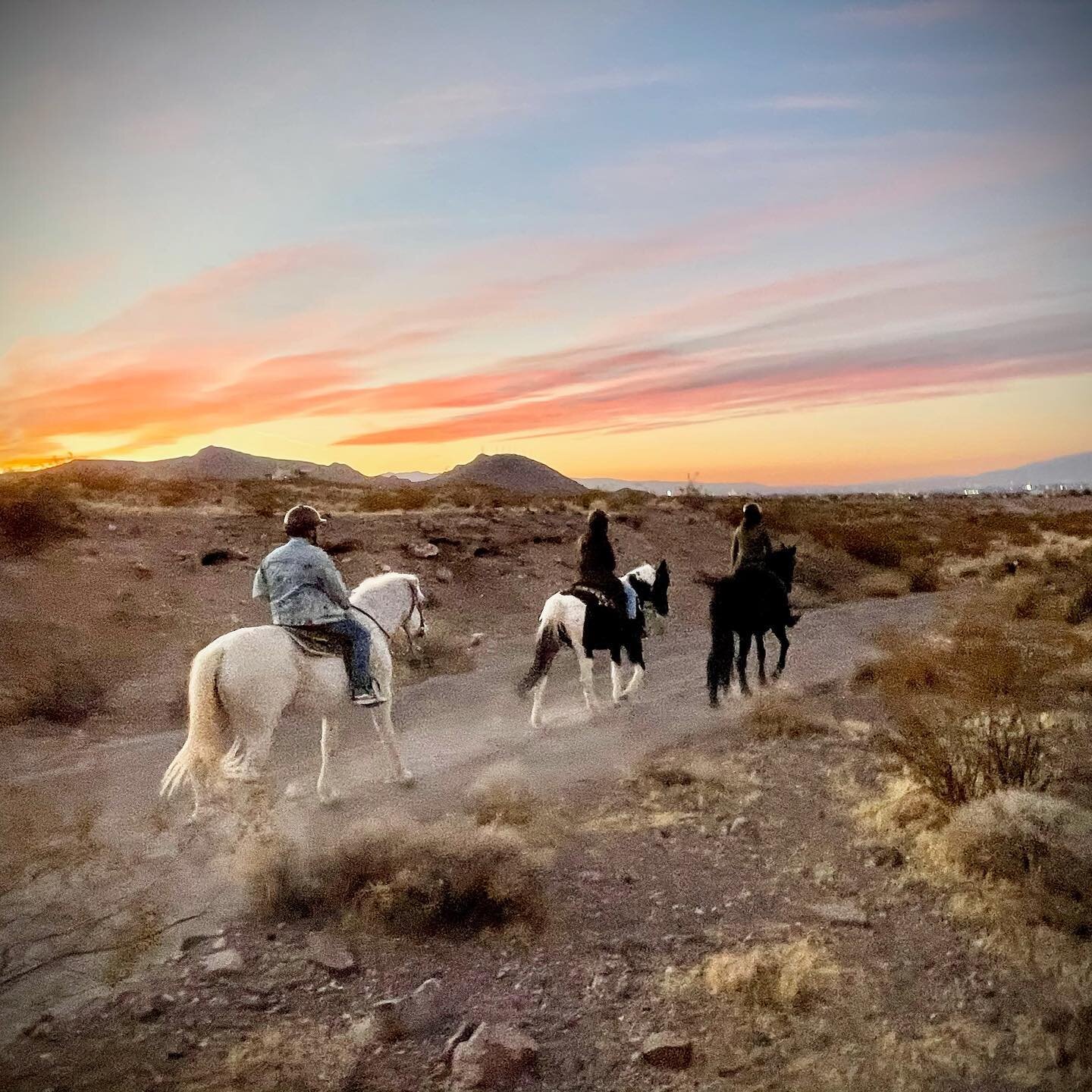 Come ride with us! 🤠  Fresh air, gentle horses and beautiful sunsets provide a refreshing break from everyday life! Message us to book your adventure today! 🐴🌅✨