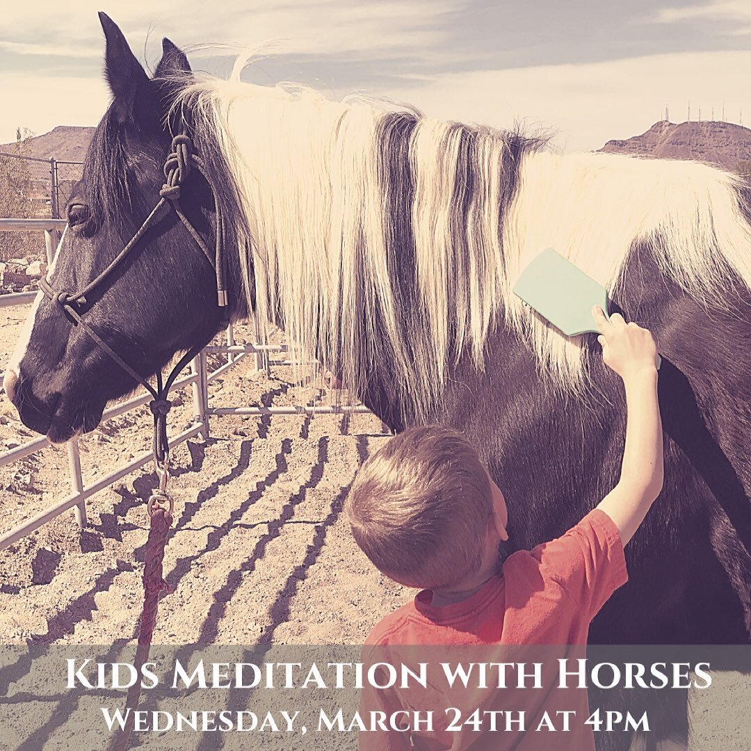 Your children will love our Kids Meditation with Horses! They will learn some valuable life skills, enjoy social time with other children, and have some wonderful outdoor time in the fresh air with horses!🐴❤️

BONUS: Social time in the fresh air for
