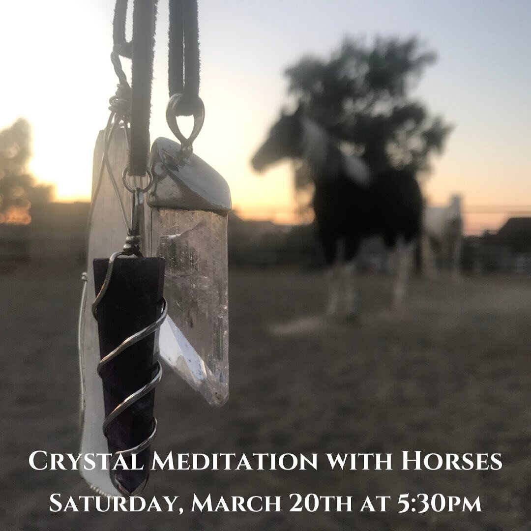 Celebrate the first day of Spring with this guided meditation with crystals by @svetlana.esposito! 🌱🌸

Relax your body and soothe your mind, while surrounding yourself with the therapeutic energy of horses and the tranquil beauty that nature provid