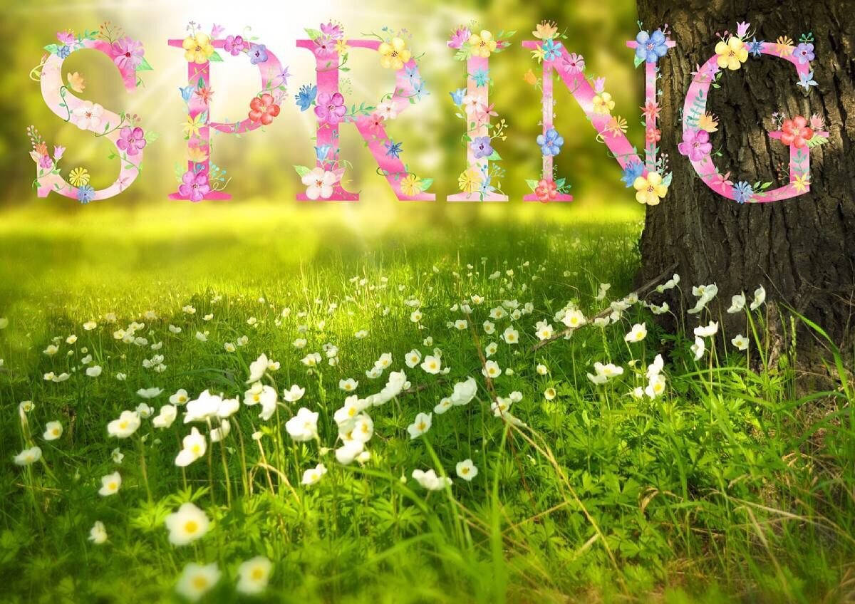 How will you celebrate the first day of Spring this Saturday, March 20th?
🌸🌱🌼
We are celebrating with 2 special meditations!
🐴🧘🏽✨
Kids Meditation with Horses at 11am 
And...
Crystal Meditation with Horses at 5:30pm🌅

Both with the amazing @sve