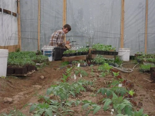 ryan+in+greenhouse.jpg