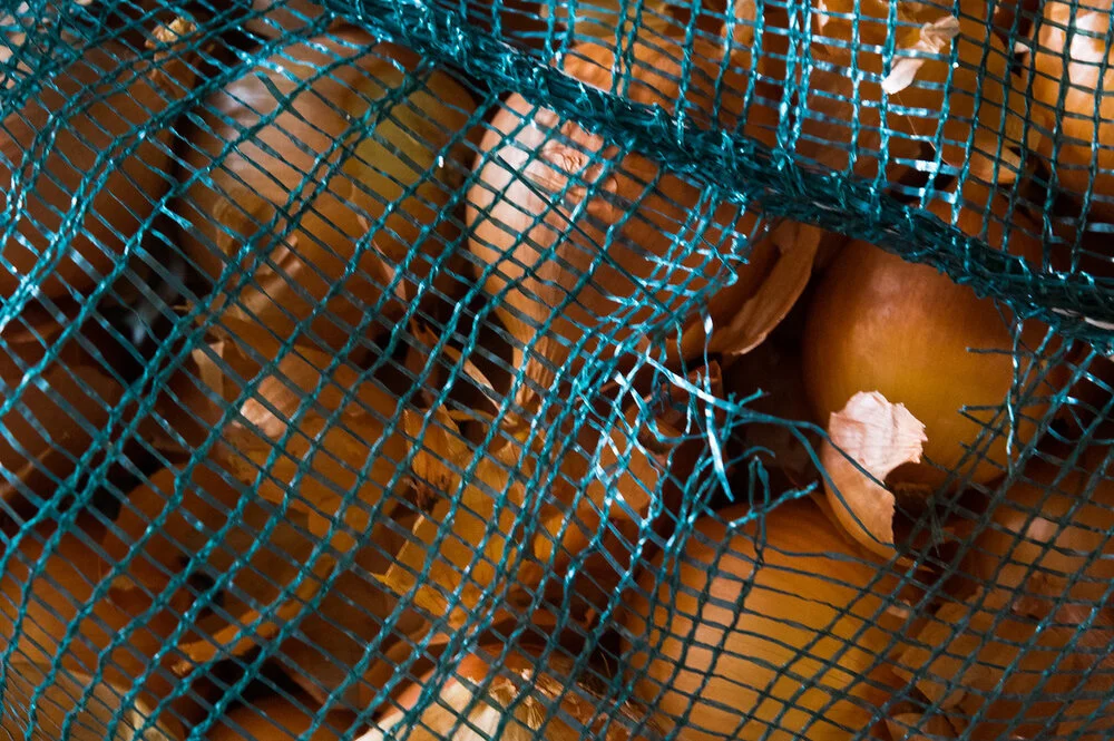 3rd Week of Winter CSA: Feb 10–12