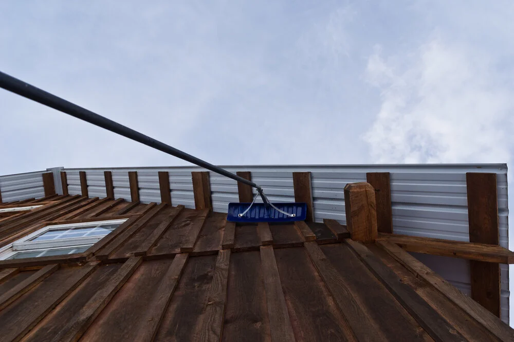 6th Week of Winter CSA: March 3–5