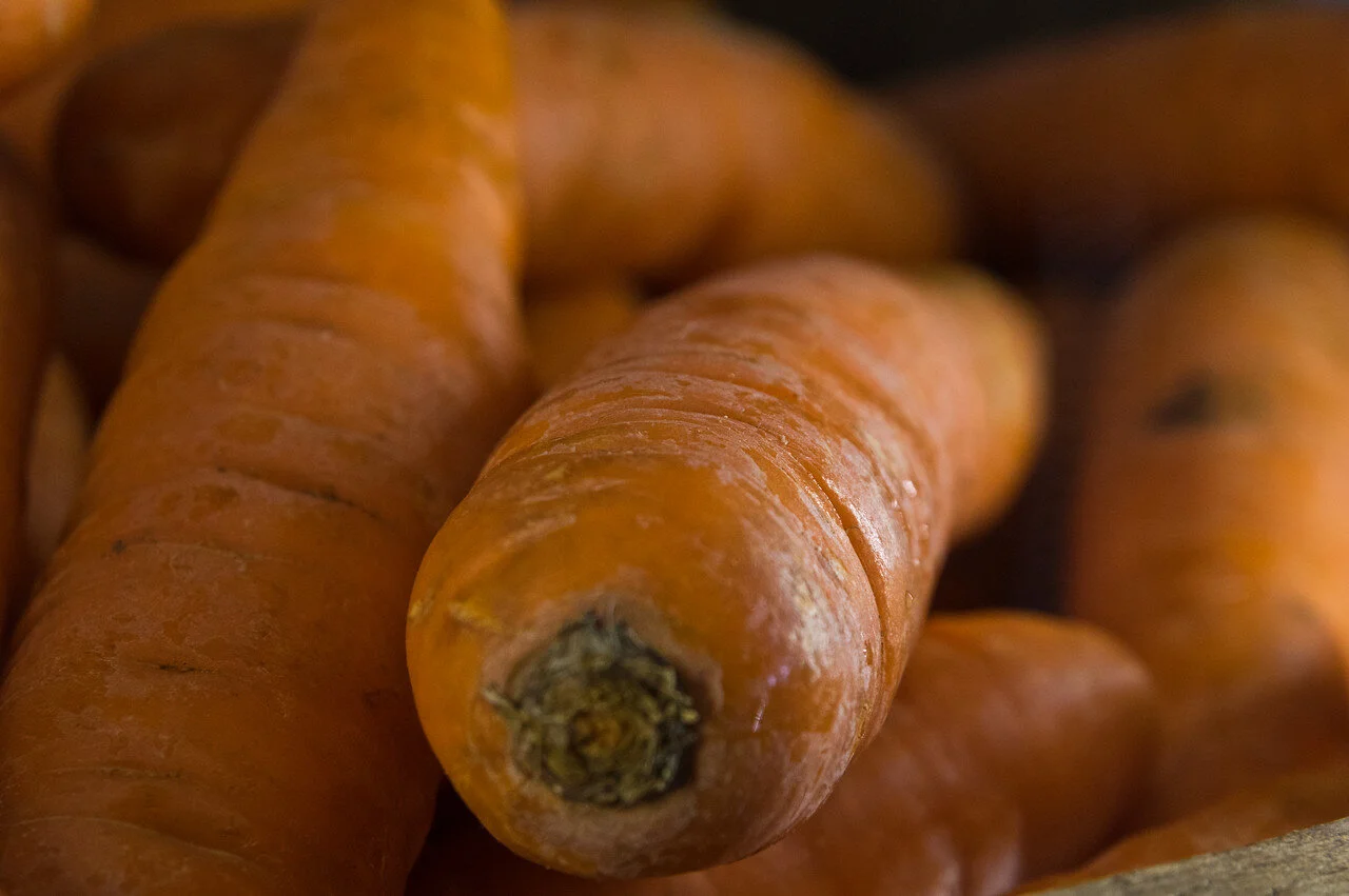 7th Week of Winter CSA: March 10-12