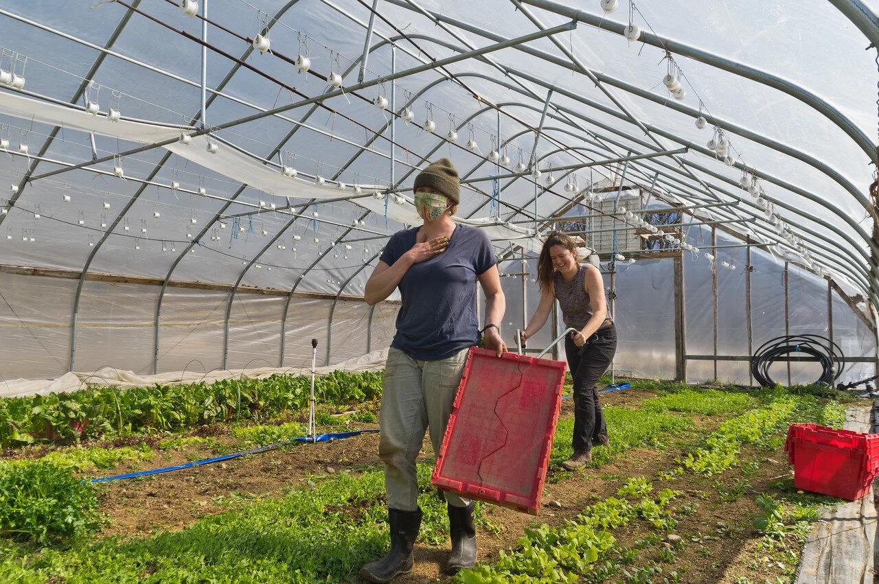 3rd Week of the Spring CSA: April 7-9
