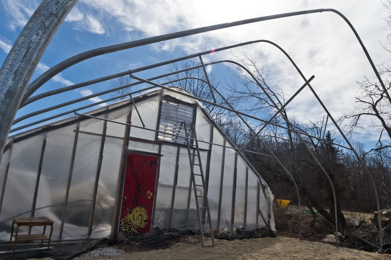 4th Week of the Spring CSA: April 14 - 16