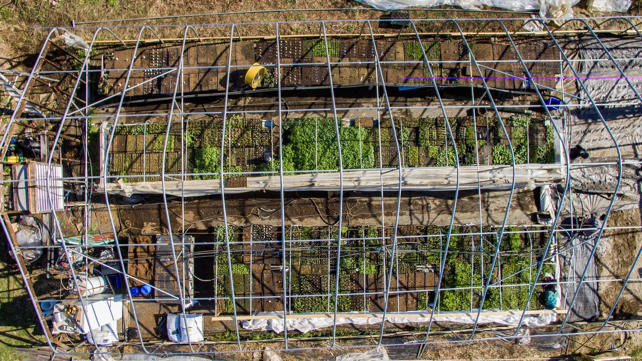 7th Week of the Spring CSA: May 5-7