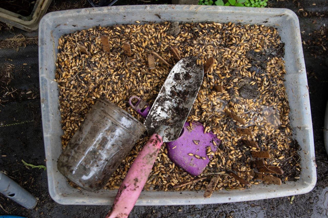 8th Week of the Spring CSA: May 12-14