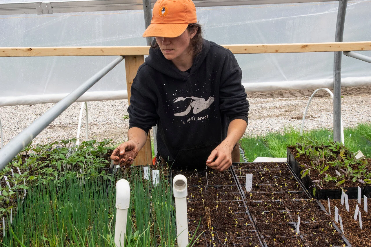 LAST Week of the Spring CSA: May 26-28