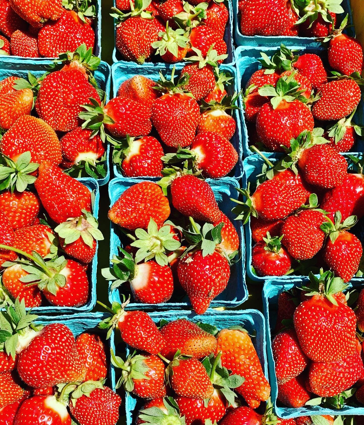We grew strawberries for our summer CSA and they are sooo gooood! Have you gotten to try them yet? 

#summervibes #certifiedorganic #strawberries #csa #vermontfarmers