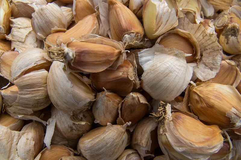 19th Week of the Summer CSA: Week of October 5th